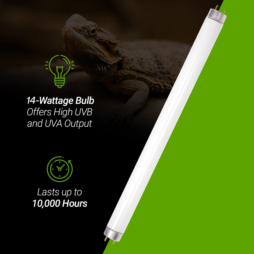 Bluex Bulbs REPTILE-T8-14W Specialty-Light-Bulbs - View #8