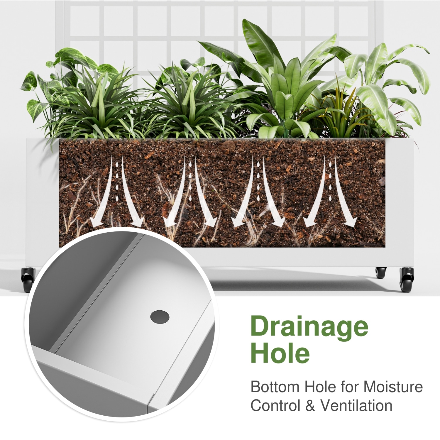 Lirago L20605-604C43 Raised-Planter-Boxes - View #9