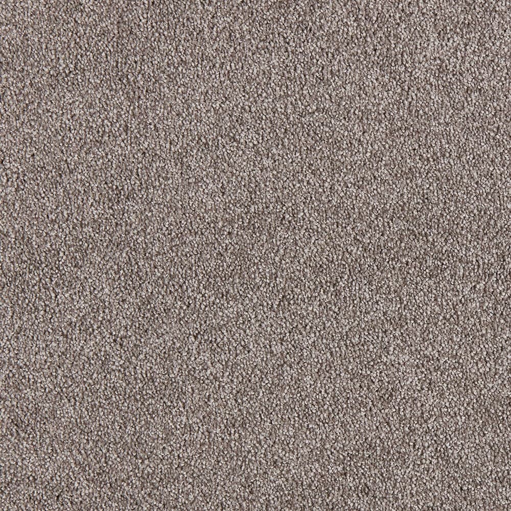 STAINMASTER STP48-12-L006 Calming Stride I Truffle Gray 45-oz sq yard Triexta Textured Indoor Carpet
