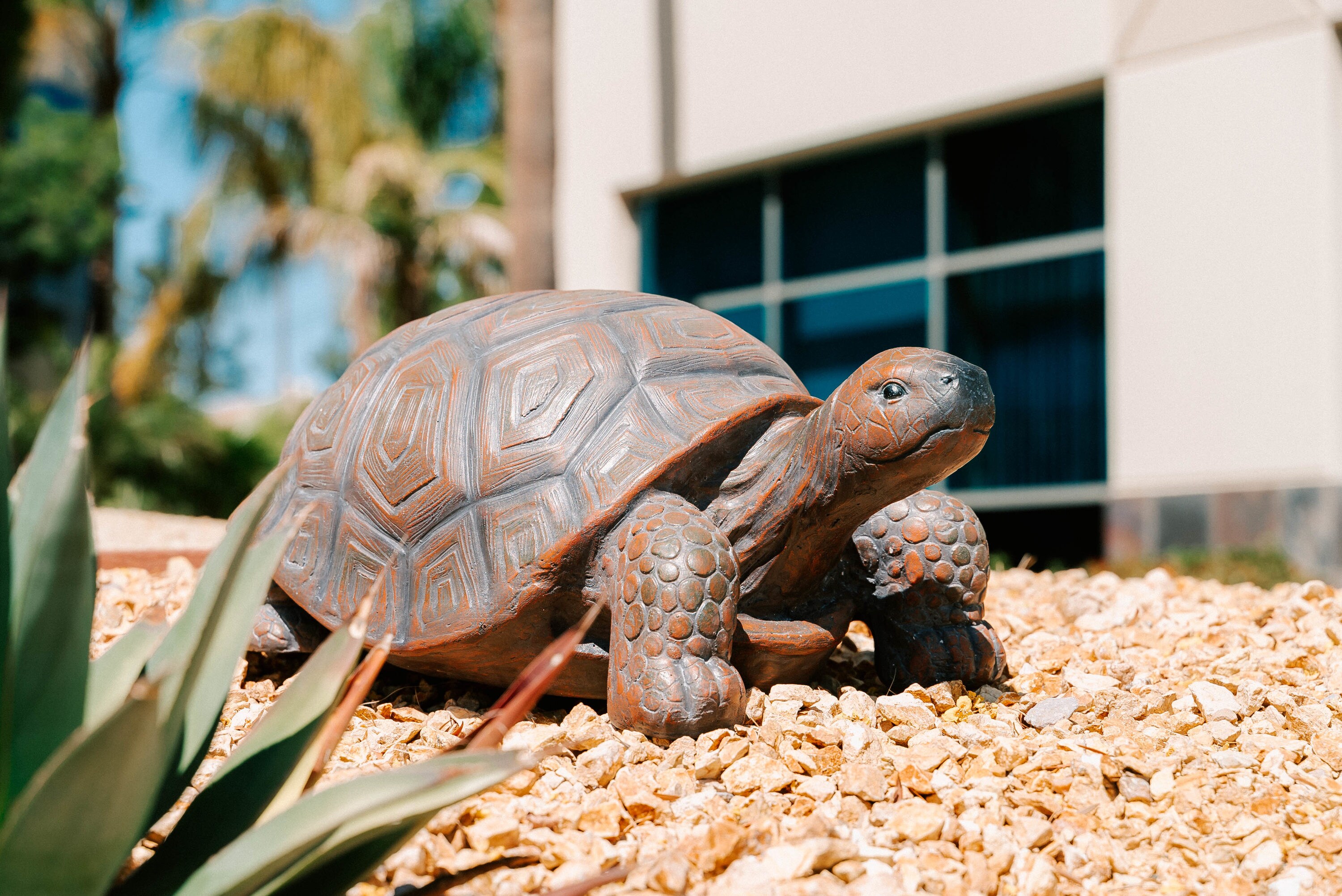 XBrand TURTLEBNBKX84 Garden-Statue - View #3
