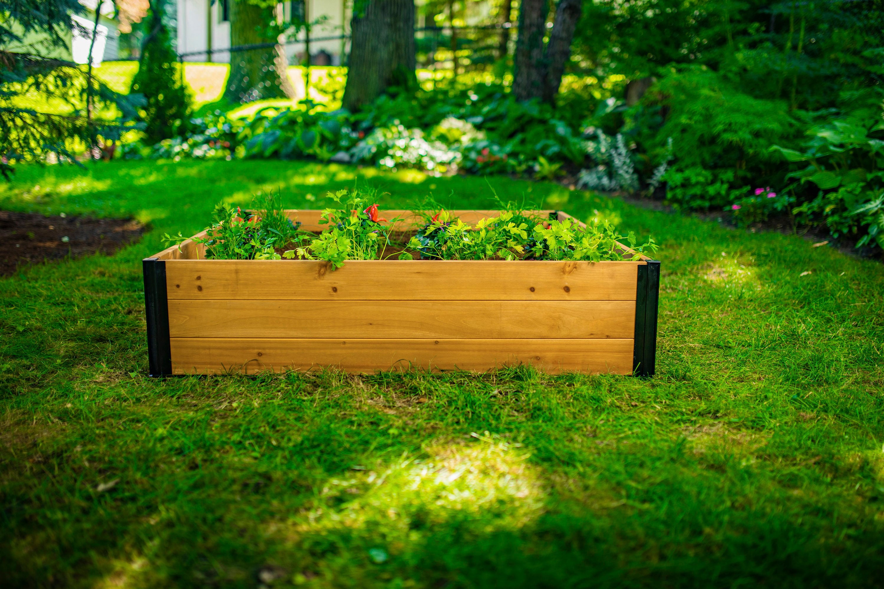 Vita VT17703 Raised-Garden-Beds - View #6