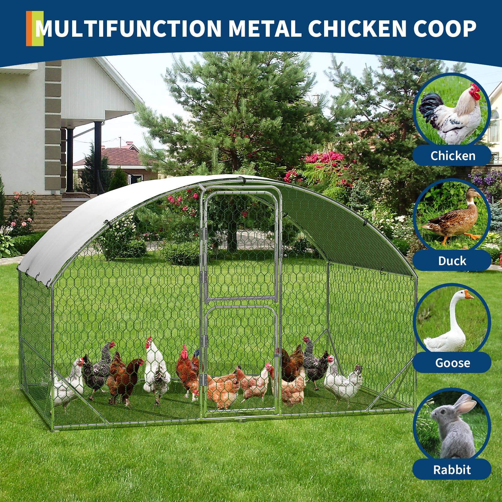 DEXSO ENCOREPPGBA9508 Chicken-Coops-Rabbit-Hutches - View #4