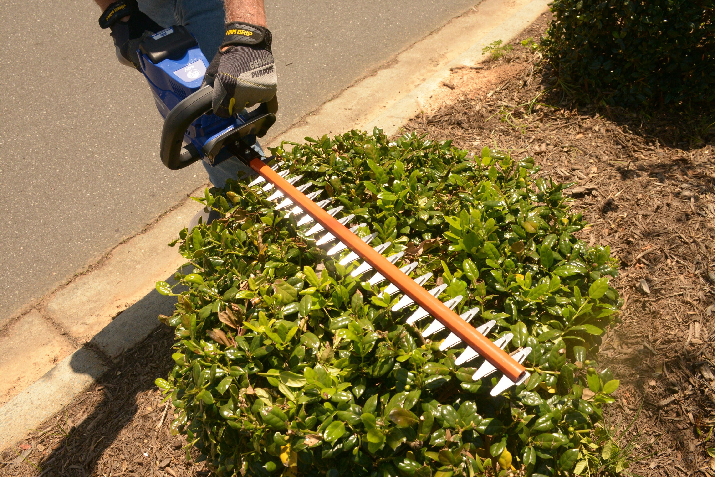 Wild Badger Power Cordless 40 Volt 22-inch Brushed Hedge Trimmer, TOOL ONLY  at Tractor Supply Co.