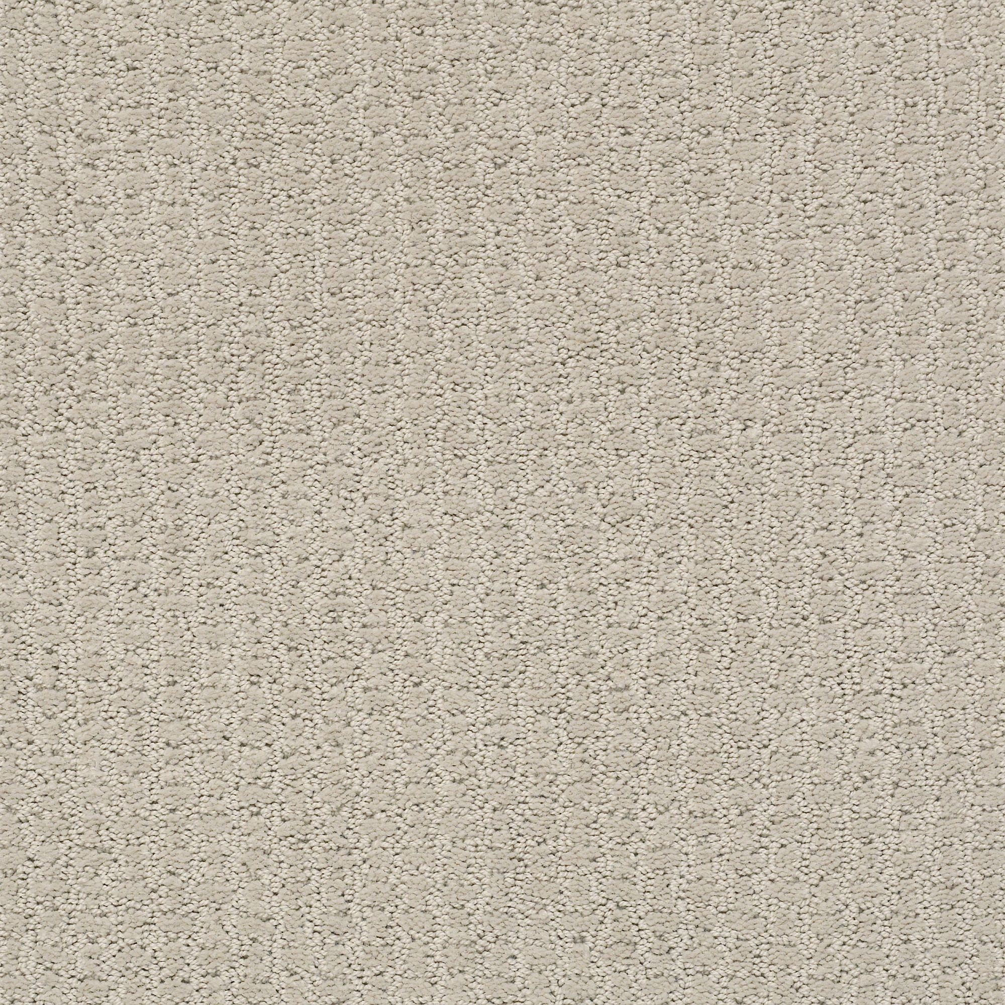 STAINMASTER 7L903 - 175 - SAMP (Sample) Music Row Quiet Moment Brown 25-oz sq yard Nylon Pattern Indoor Carpet