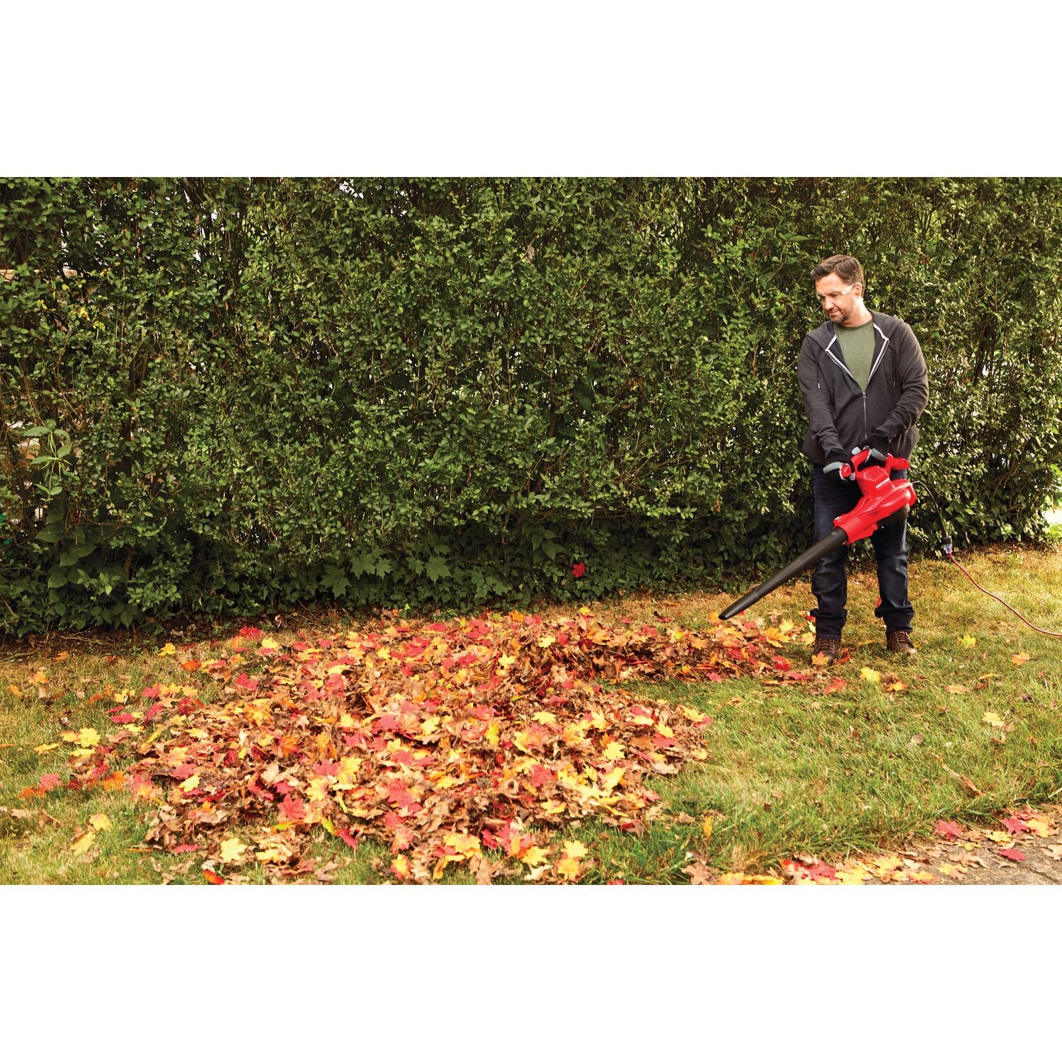 CRAFTSMAN CMEBL7000 Cordless-Electric-Blowers - View #19