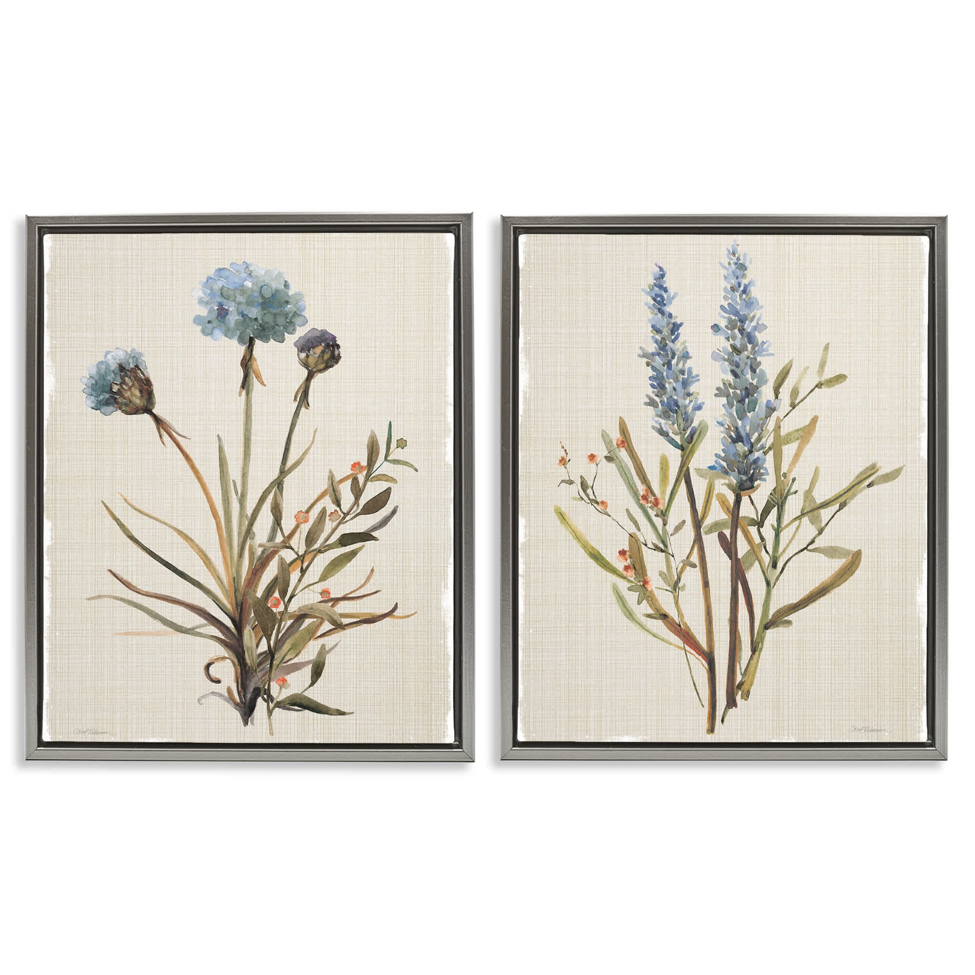 Stupell Industries B2-748-FFL-2PC-16X20 Natural Budding Blooms 2pc Floating Frame Set design by Carol Robinson