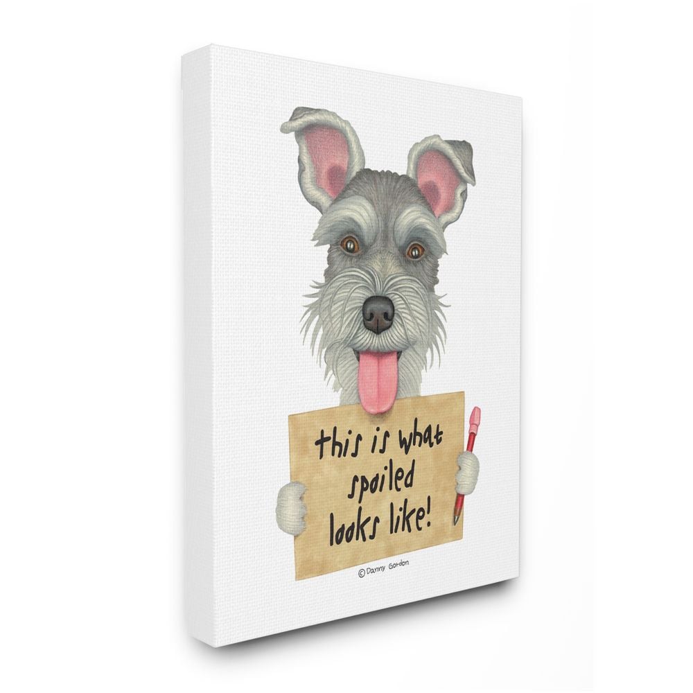 Stupell Industries AB-635-CN-24X30 Scotty Dog 'What Spoiled Looks Like' Pet Phrase Danny Gordan Gallery Wrapped Canvas 30-in H x 24-in W Animals Canvas Print