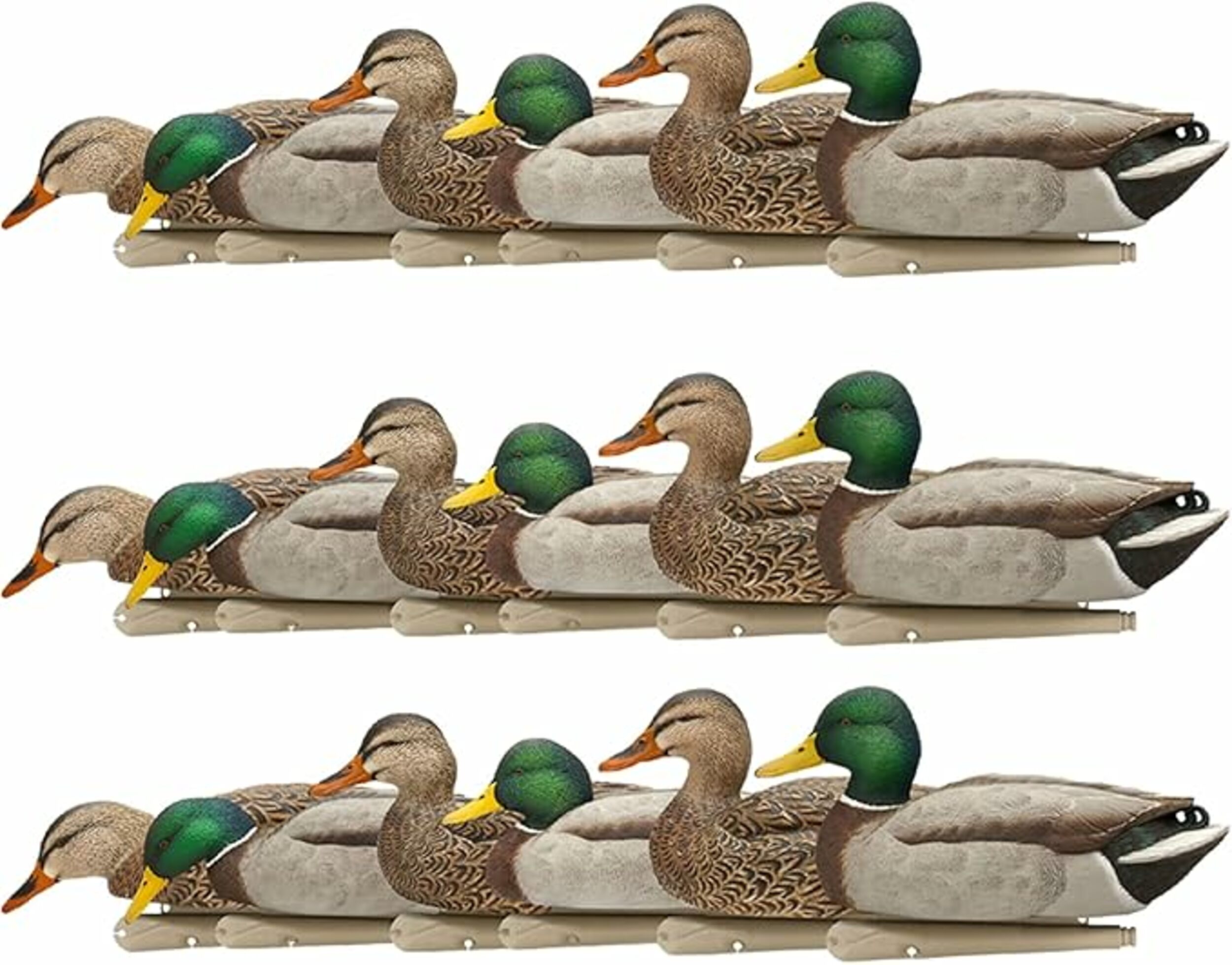  Avian X 408535 18.3 x 16 x 12.5 Inche(s) Decoy 18 -Pack