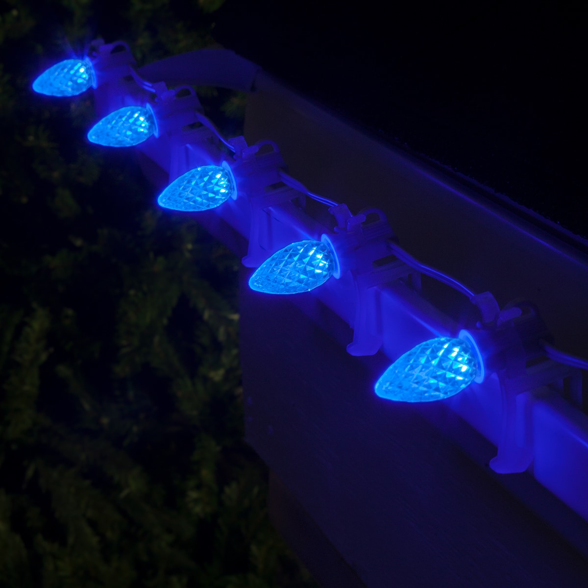 Wintergreen Lighting 72619 String-Light-Bulbs-Fuses - View #4