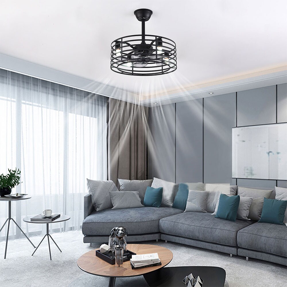 20'' Black Industrial Caged Ceiling Fan with Lights and Remote
