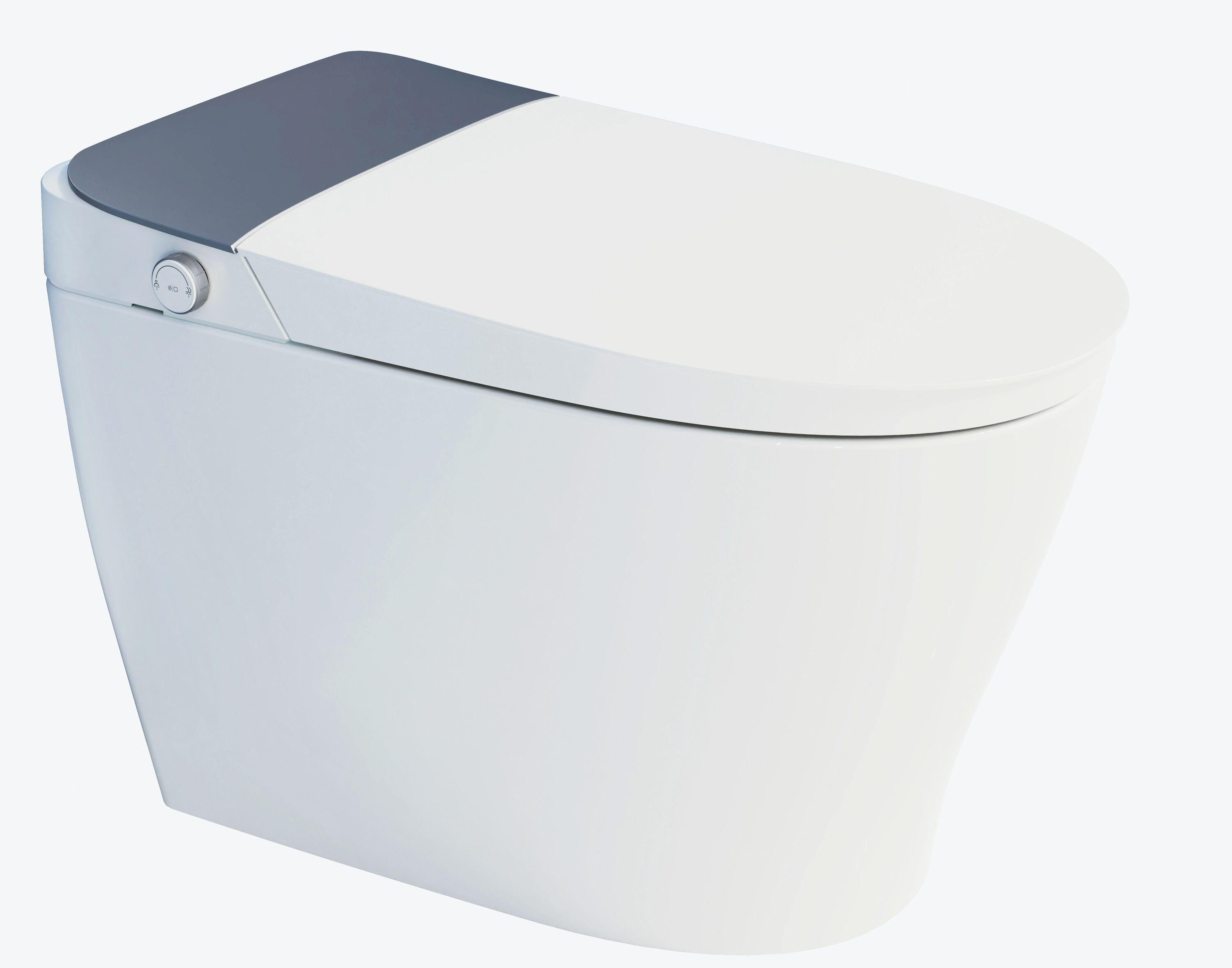 DeerValley Vertex White Single Elongated Chair Height Smart Soft Close Freestanding Bidet Bidet 12-in Rough-In 1.28 GPF