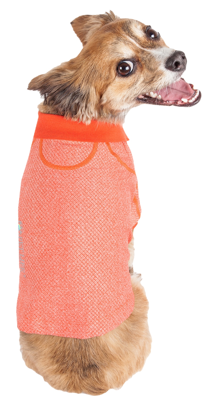Pet Life PLHL2ORLG Dog-Apparel - View #3