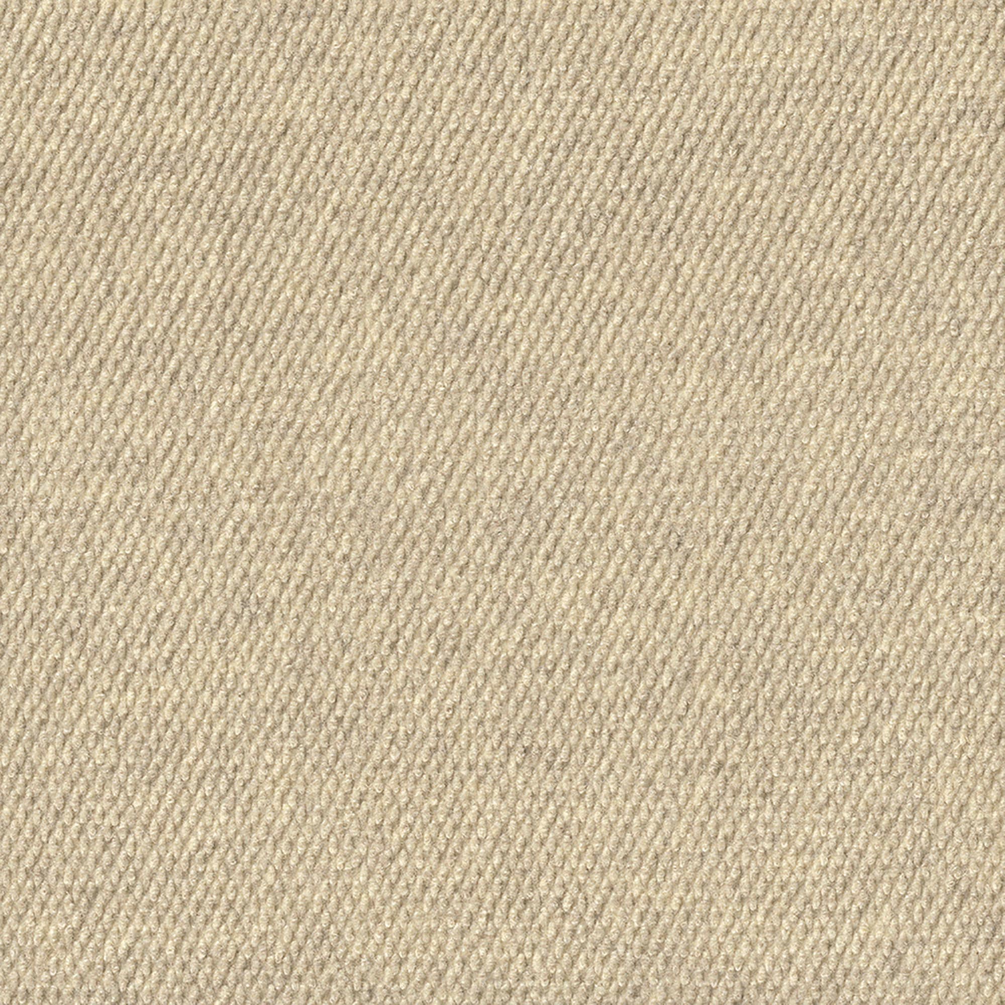 Foss 7ND4N5916PK Wallagrass 18-in x 18-in Ivory Off-white Residential Peel and stick Indoor or outdoor Carpet Tile ( 36-Sq. Feet )