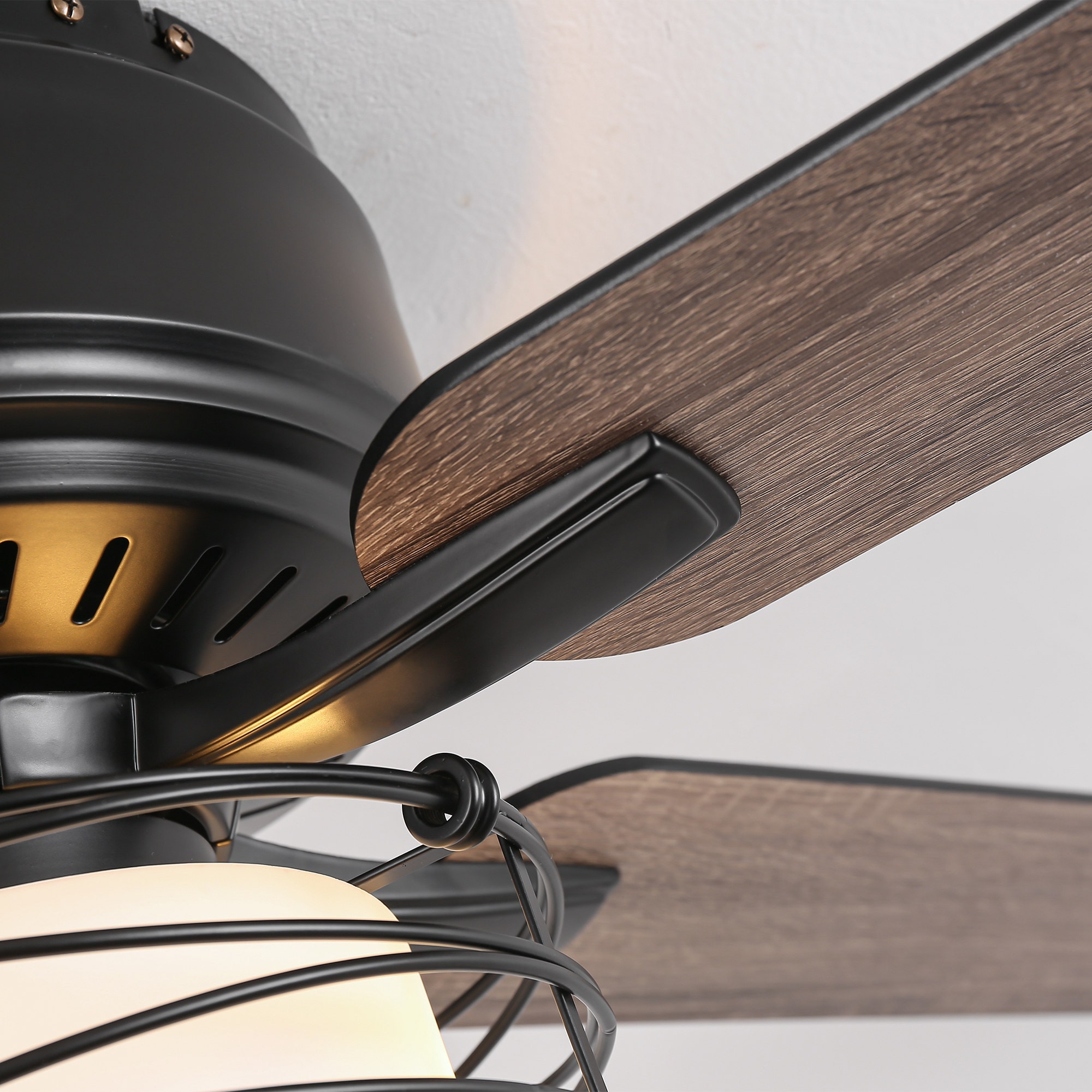 Parrot Uncle F6356110V Ceiling-Fans - View #14