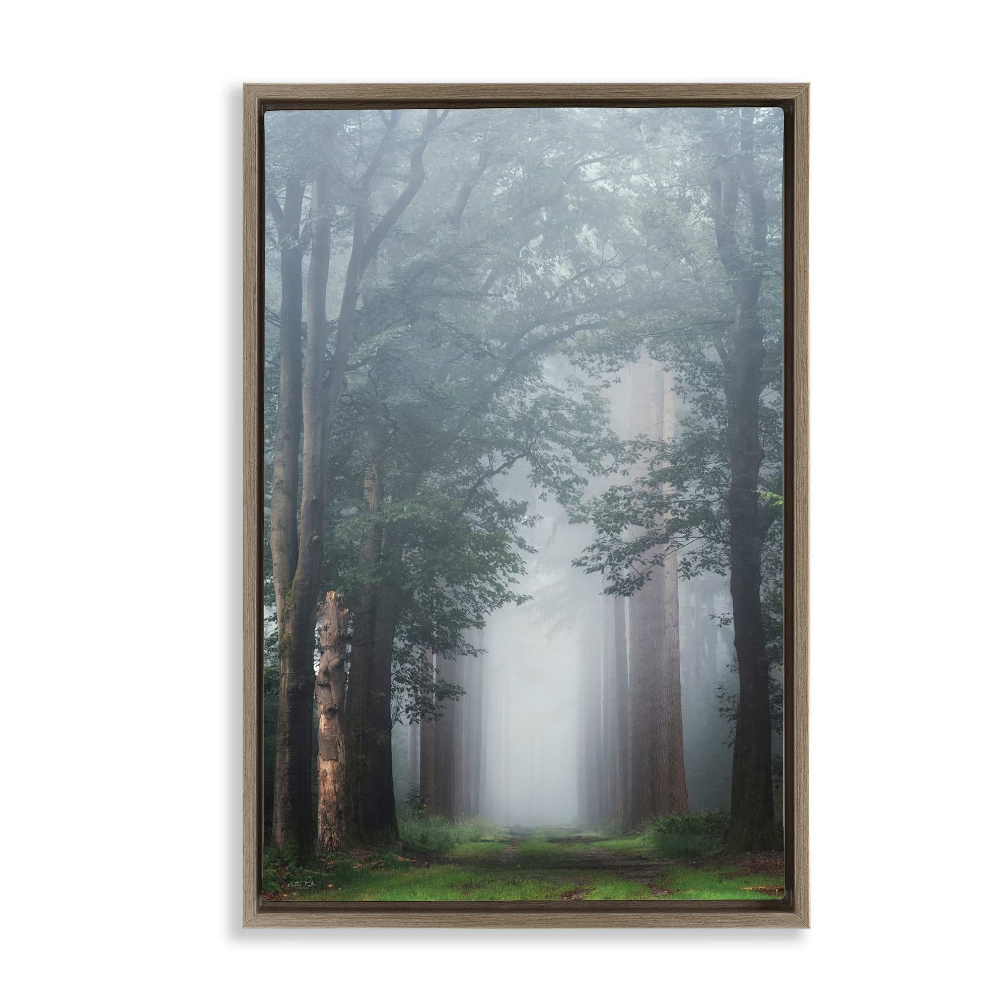 Stupell Industries BT-590-FFE-16X24 Calm Forest Clearing Brown Framed Floater Canvas Wall Art By Martin Podt 17 x 25