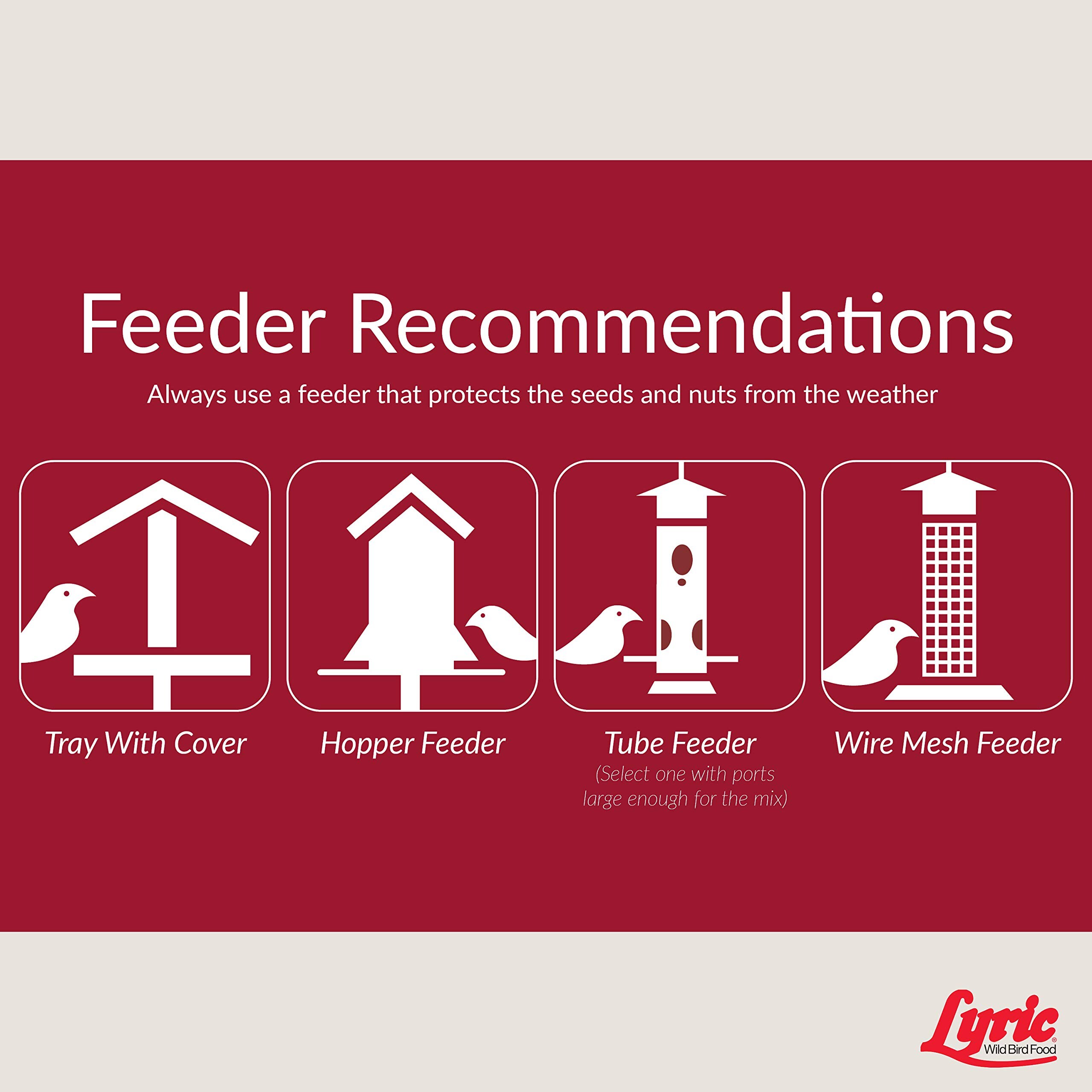 Lyric DIB-R-701848QTY-1 Bird-Squirrel-Food - View #4