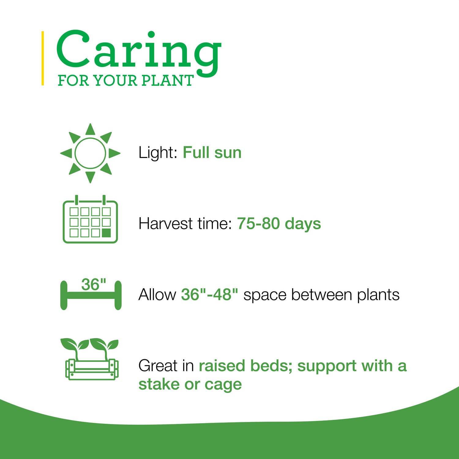 Bonnie Plants 202035 Vegetable-Plants - View #5