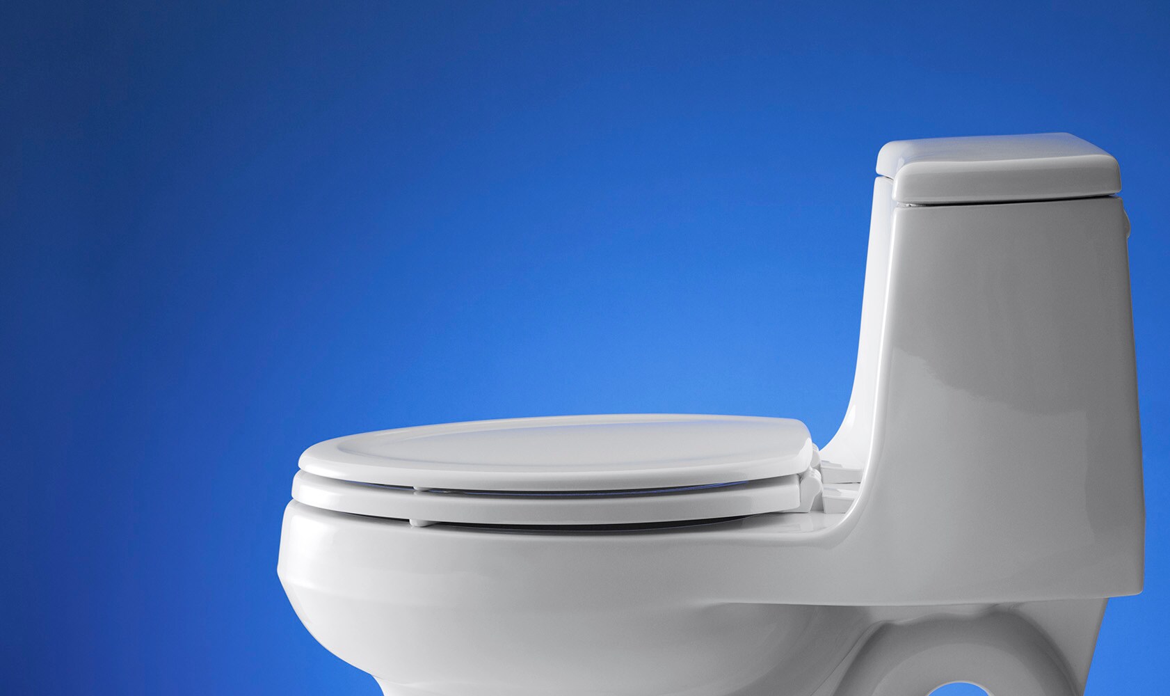 White Elongated Compression-Molded Wood Toilet Seat