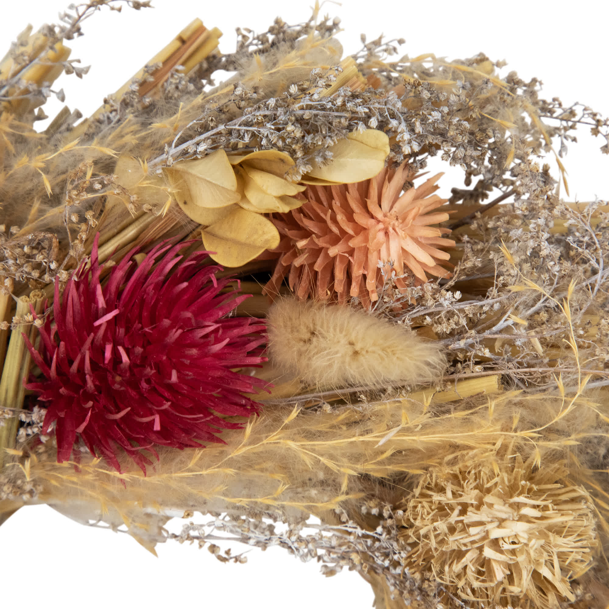 Northlight Pampas Grass and Dried Florals Small Fall Harvest Wreath ...