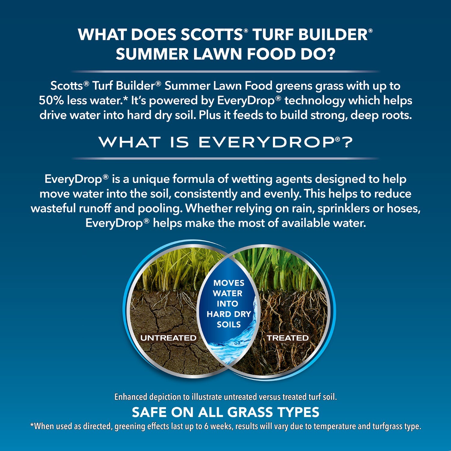 blue-curve-bg • Tyler • Fertilizers and Nutrition for Turf
