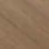 Beach Dune