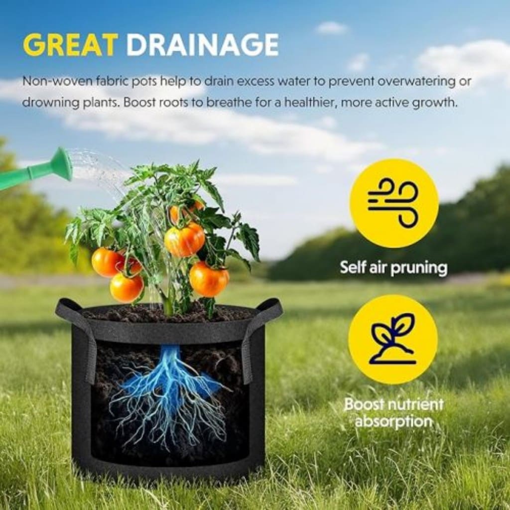 AHIOU HOME ZAAHG-P312434BG Planter-Window-Box - View #3