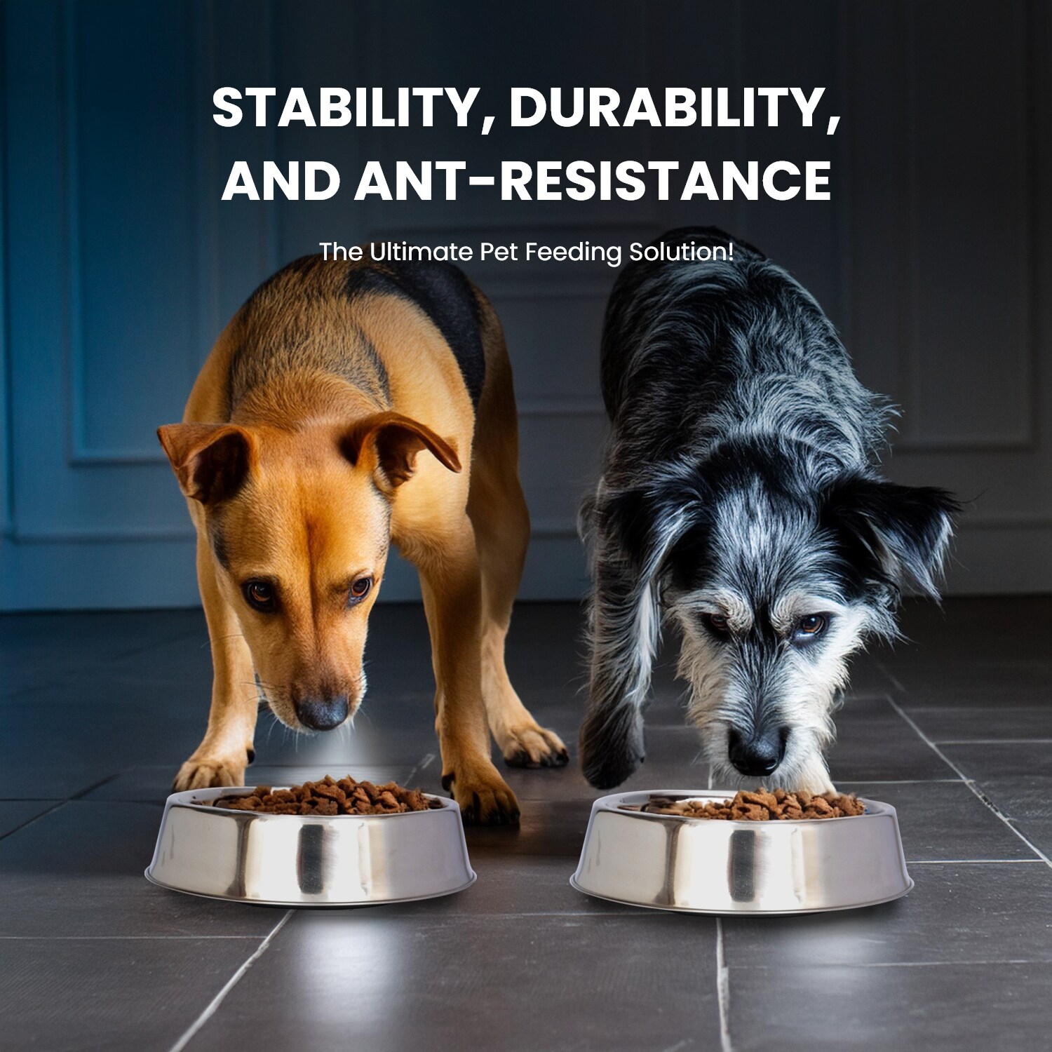 Iconic Pet 51435 Pet-Feeder - View #8