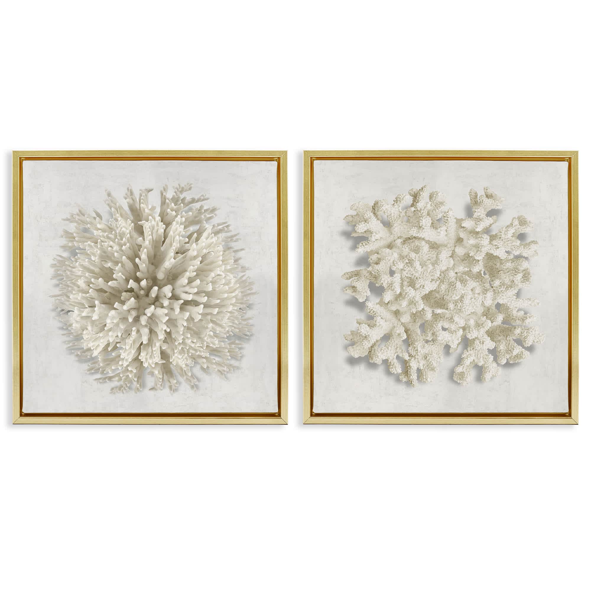 Stupell Industries B2-786-FFG-2PC-24X24 Distinct Natural Coral 2 Piece Gold Framed Floater Canvas Set By Caroline Kelly 25 x 25