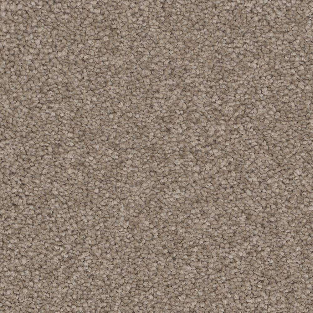 STAINMASTER S9768-945-S (Sample) Nags Head Anchor Multi-Colored 68-oz sq yard Polyester Textured Indoor Carpet