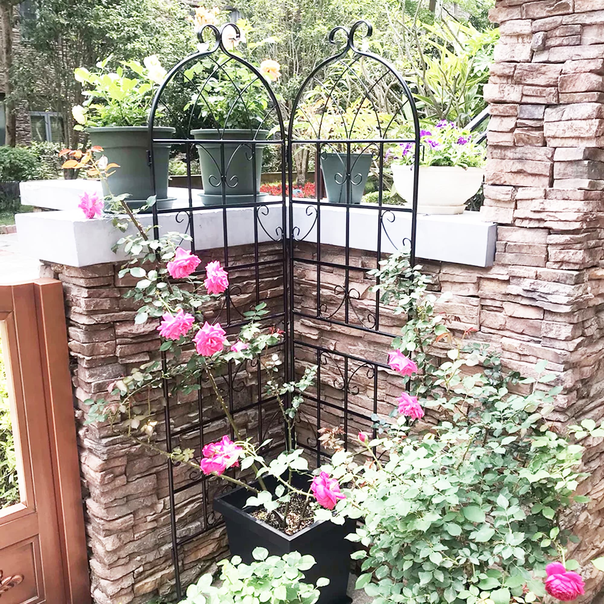 ToolCat NGG29-4-TTX Garden-Trellis - View #6