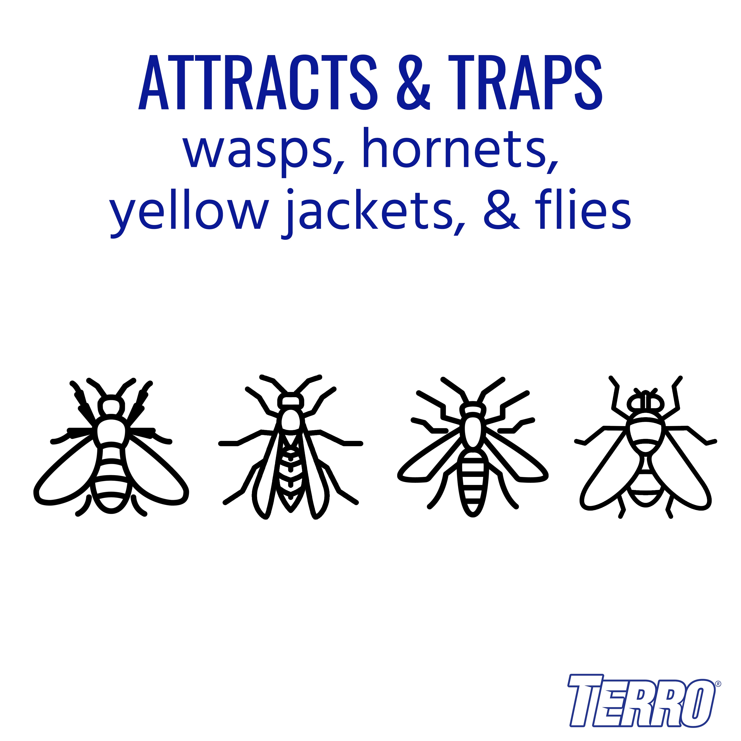 Terro T512 6 Pack Wasp & Fly Trap, Clear