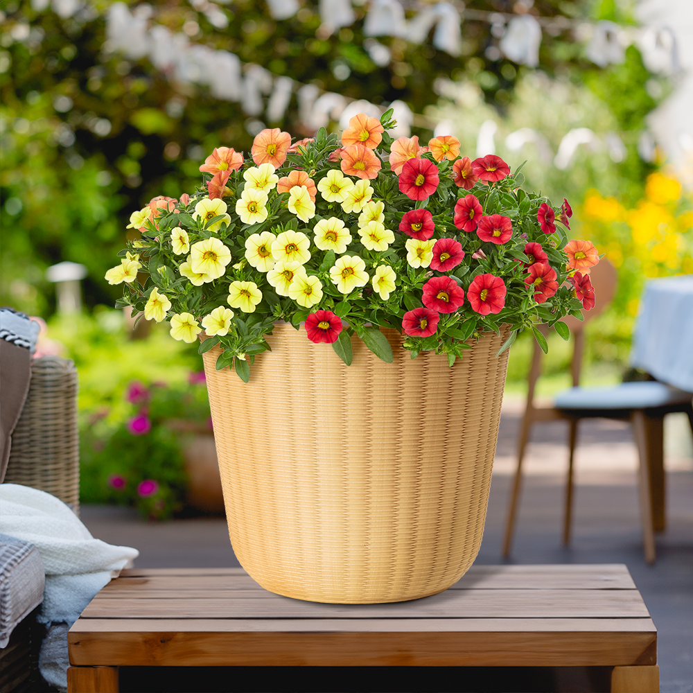Style Selections DP2151J Planter-Window-Box - View #2