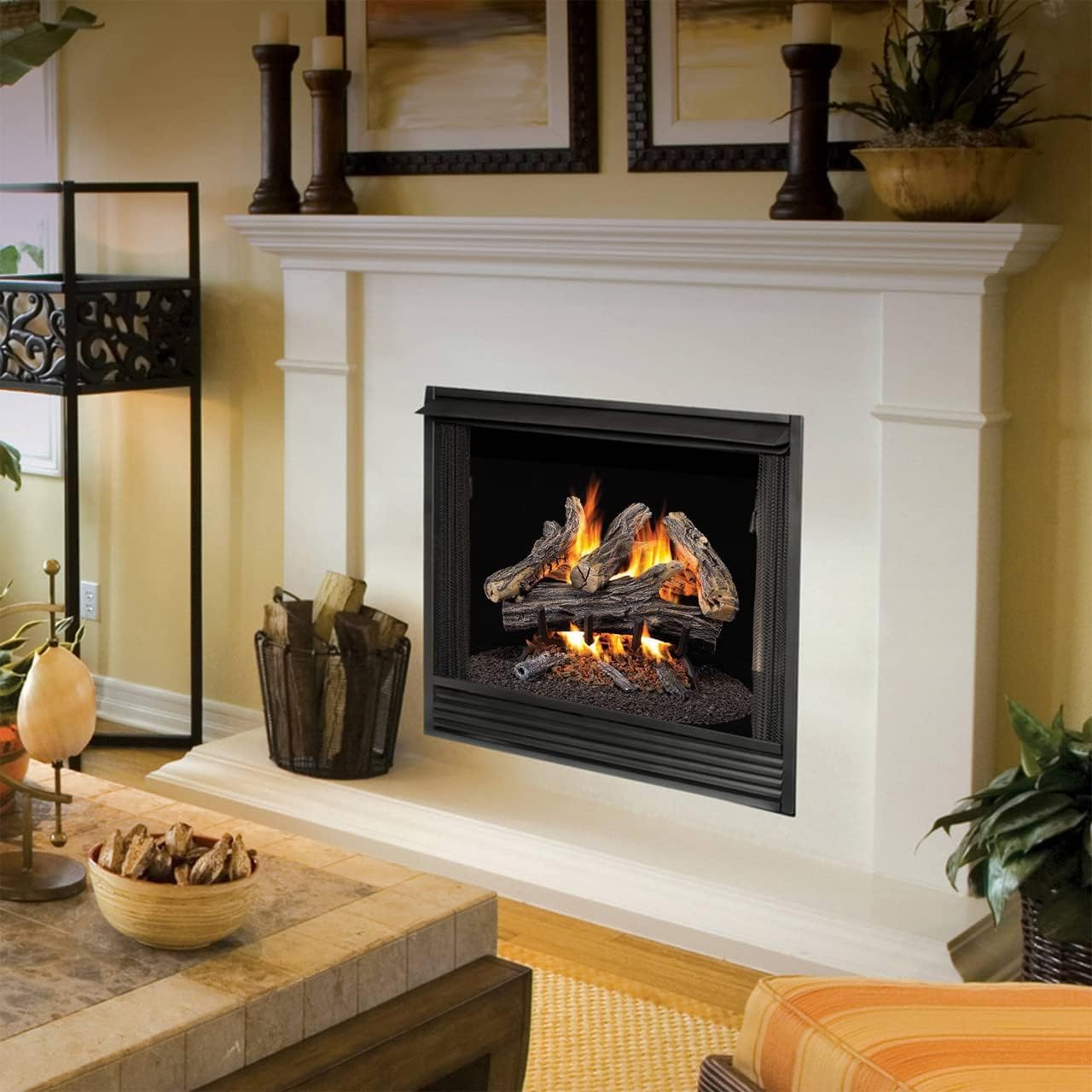 ProCom WAN18N-2-RO Gas-Logs - View #3