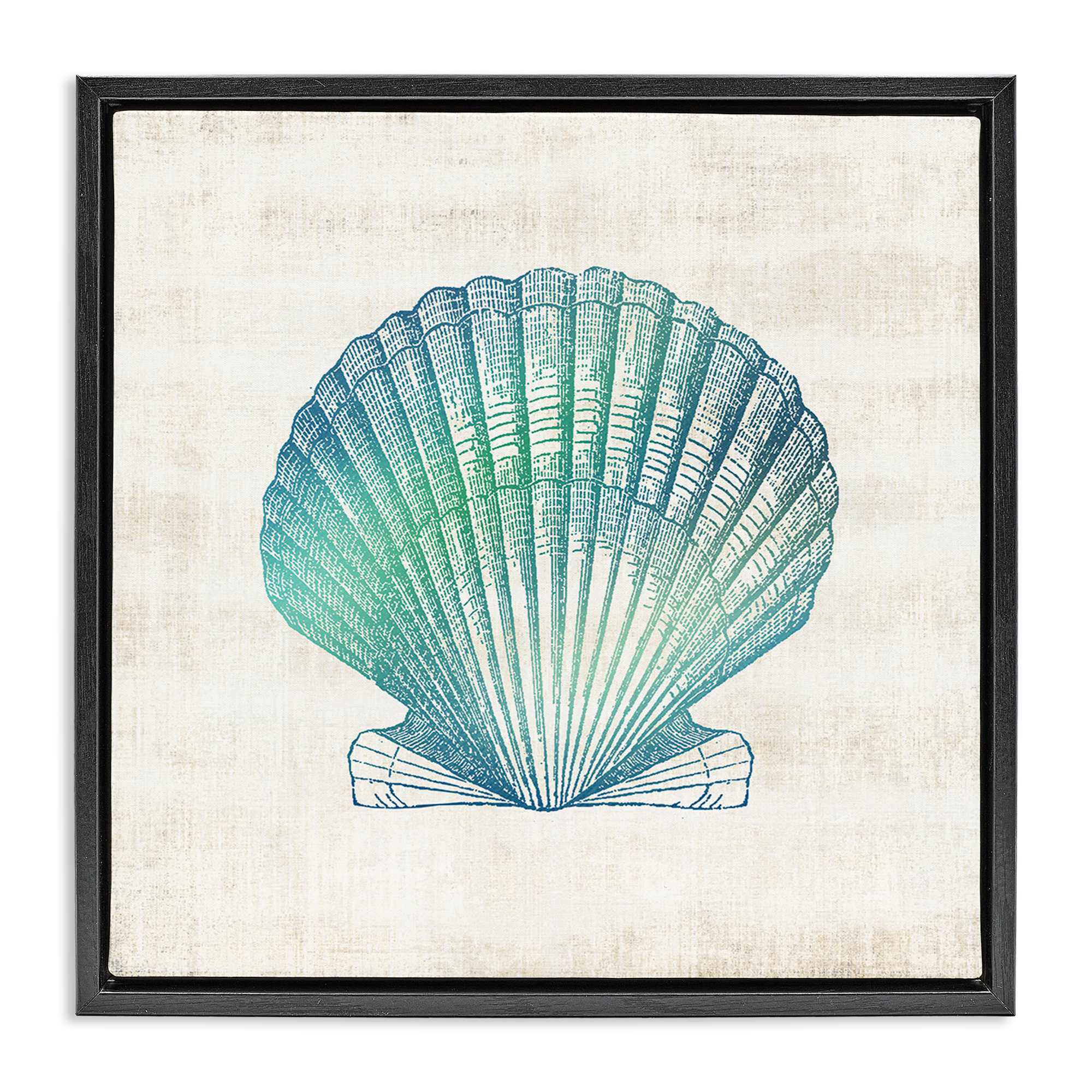 Stupell Industries BS-161-FFB-24X24 Gradient Clam Seashell Black Framed Floater Canvas Wall Art By Susan Arnot 25 x 25