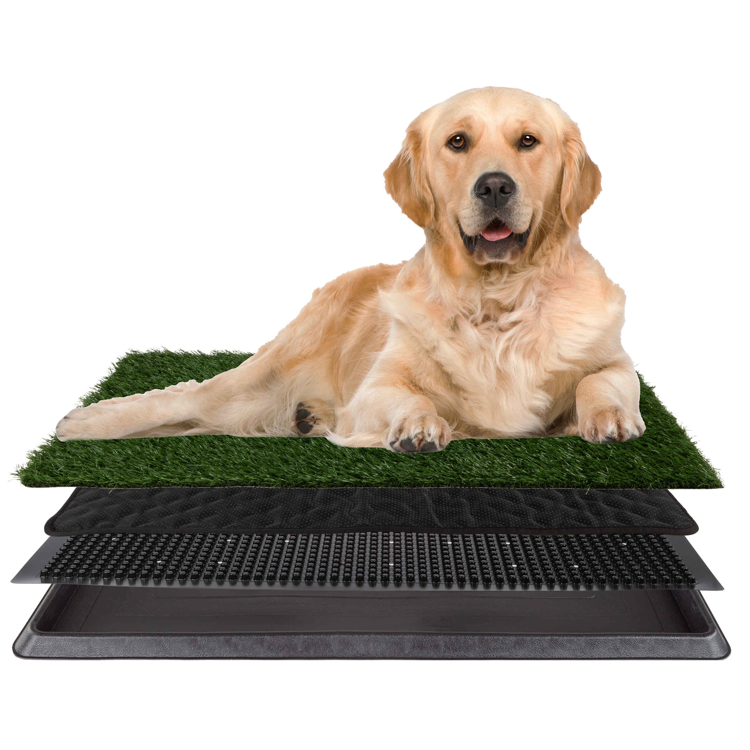 PETMAKER PET6200 31.3-Inches x 20.66-Inches Reusable Plastic Artificial grass trainer kit