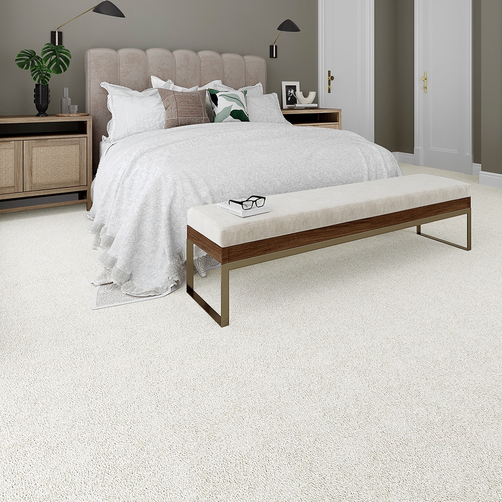 STAINMASTER PetProtect STP25-L002-0808 Carpet-Samples - View #3