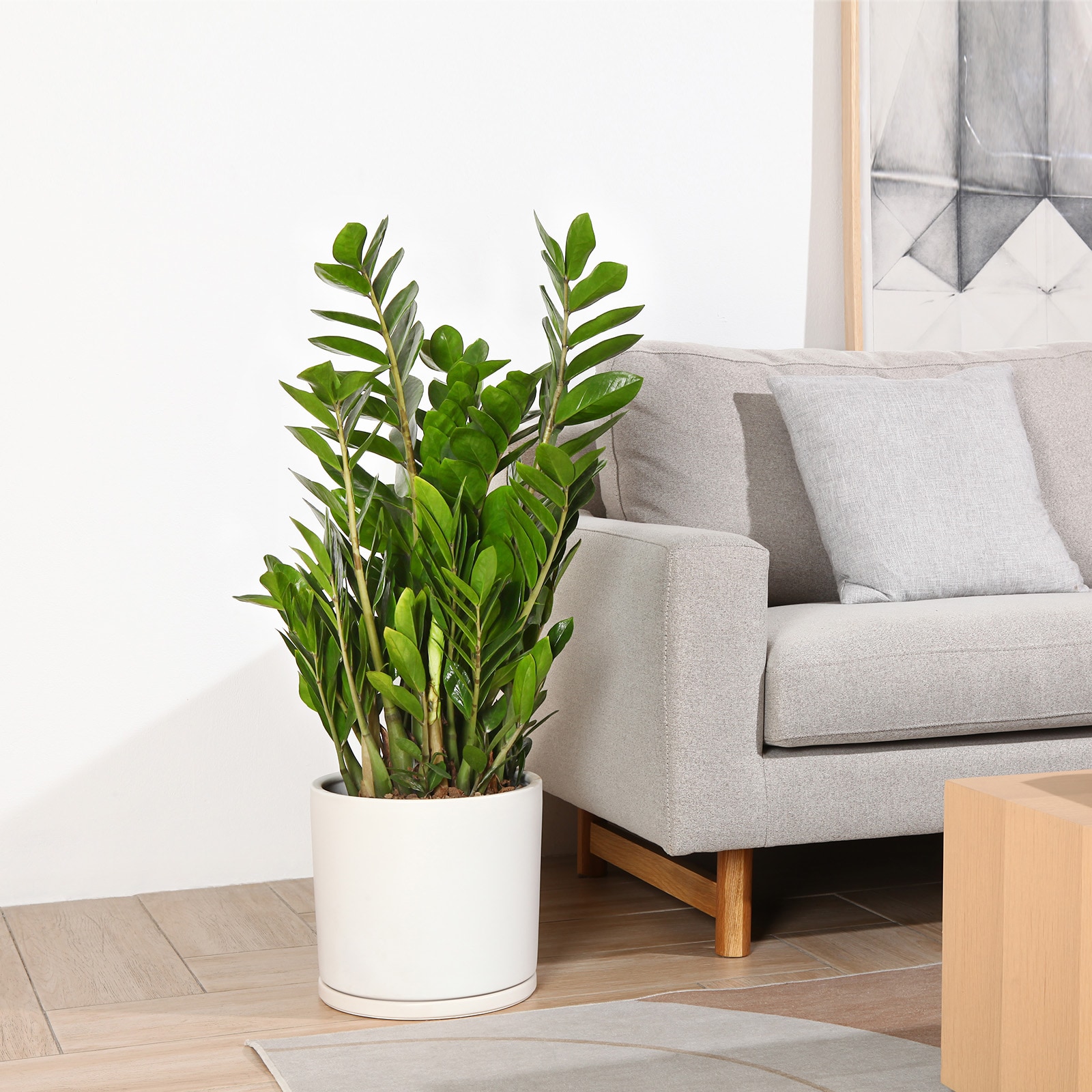 VeriNatural ZTDTYM-W-12IN-1 Planter-Window-Box - View #7