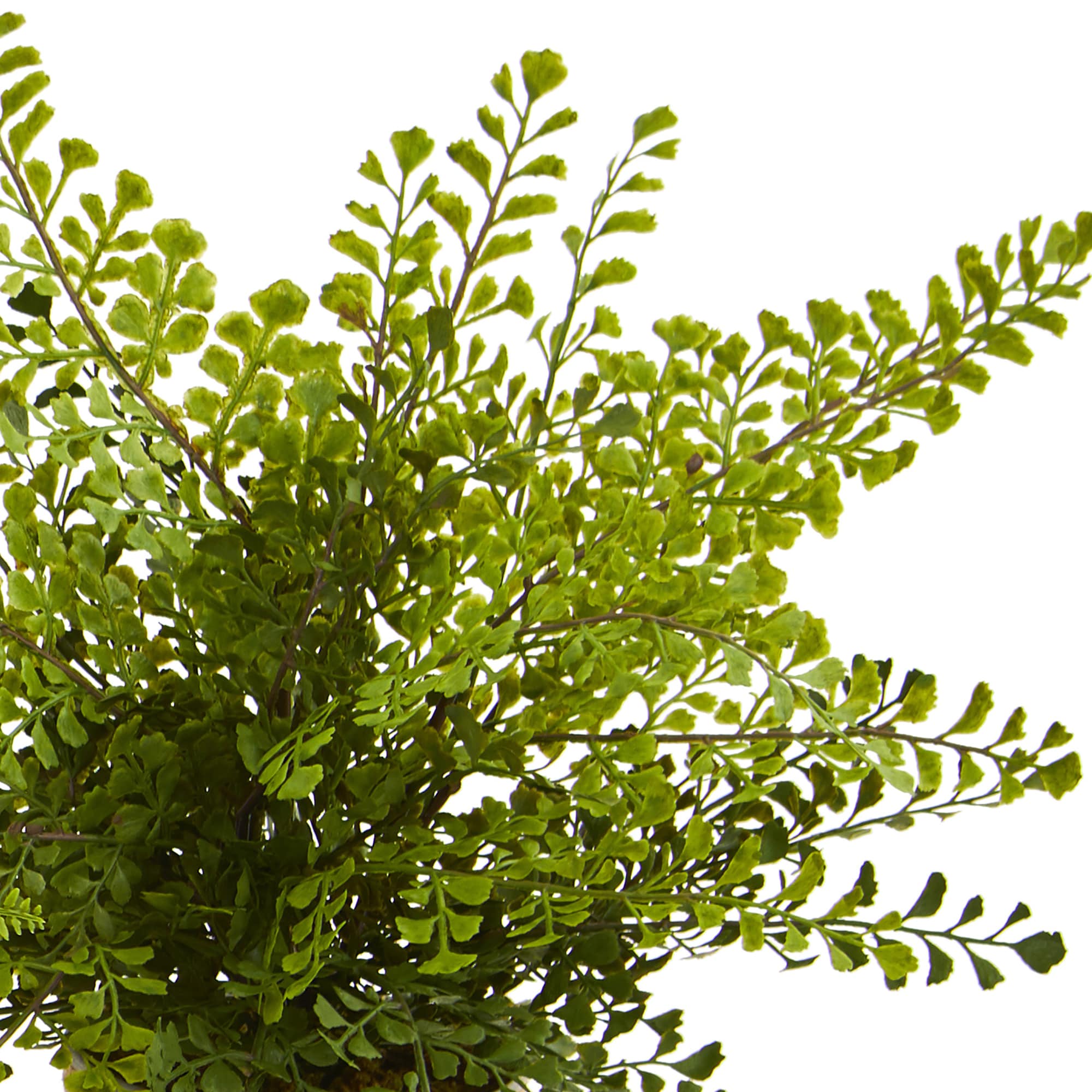 Nearly Natural 4222-S3 Artificial-Plants-Trees - View #2