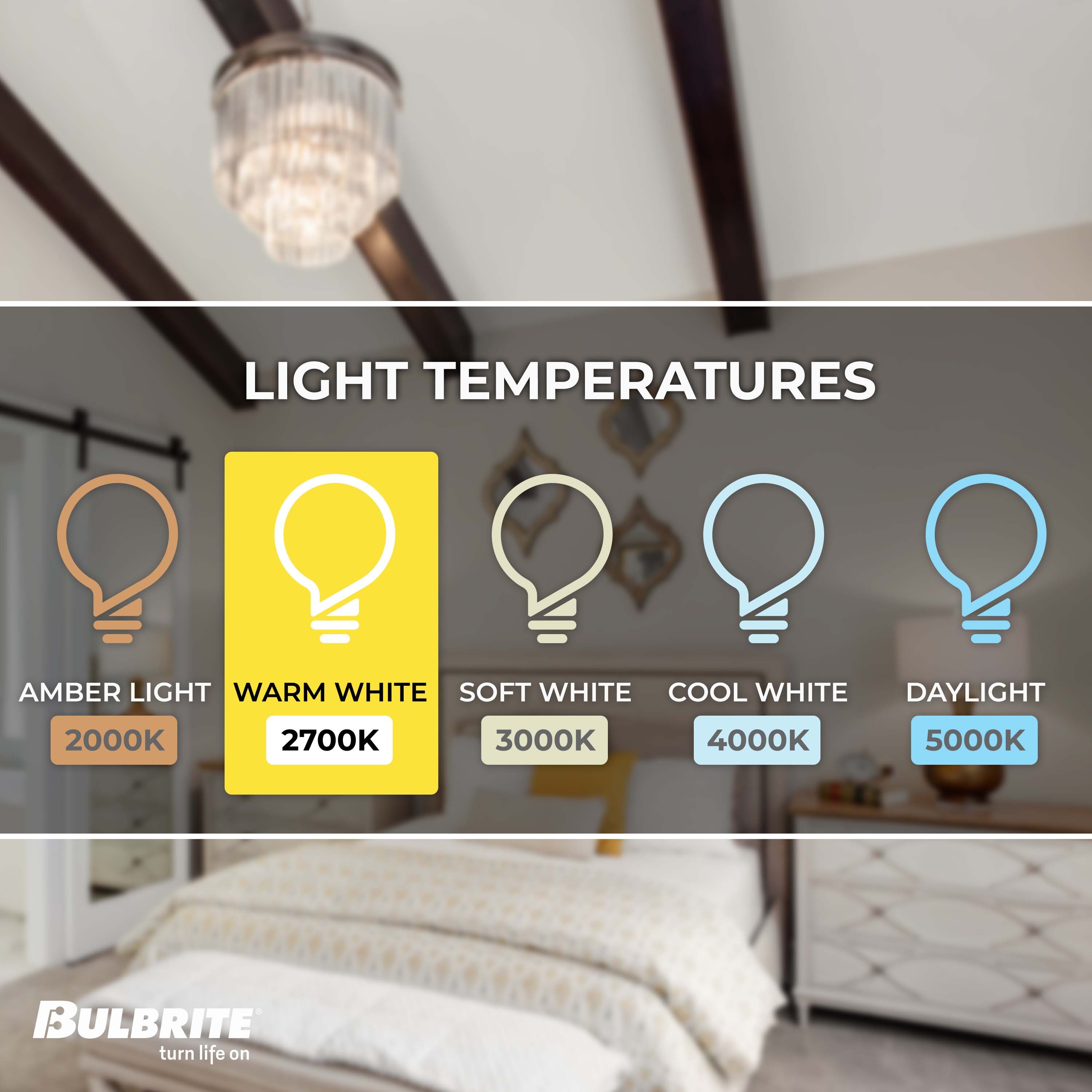 Bulbrite 862785 Dec-Led-Light-Bulbs - View #3
