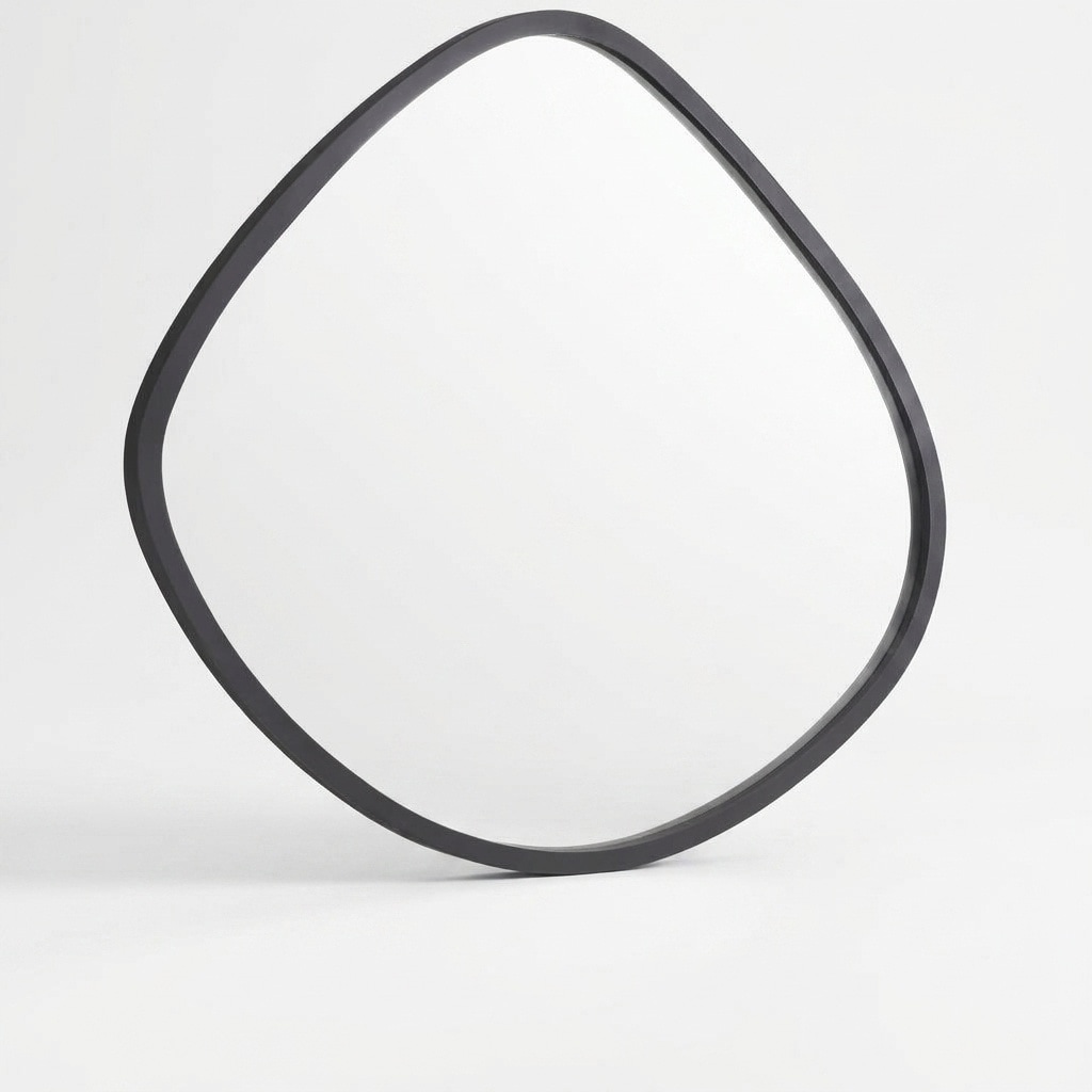 Aoibox  16 in H x 13 in W Irregular Black Frameless Asymmetric Beveled Wall Mirror for Living Room and Entryway