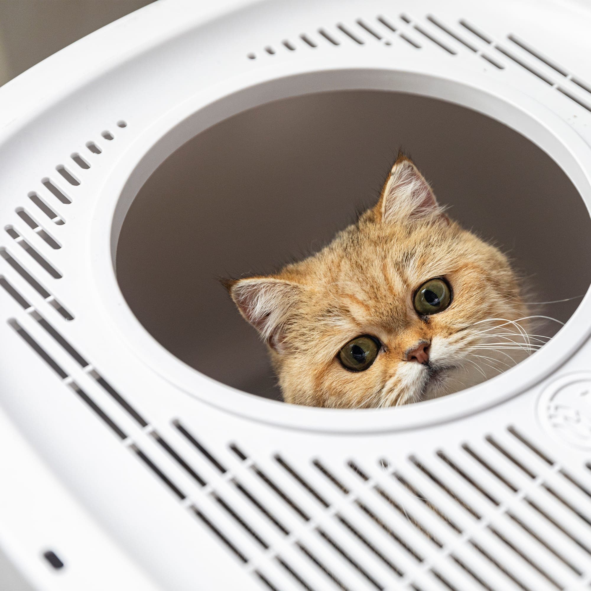 HANAMYA CLB002WT Cat-Litter - View #5