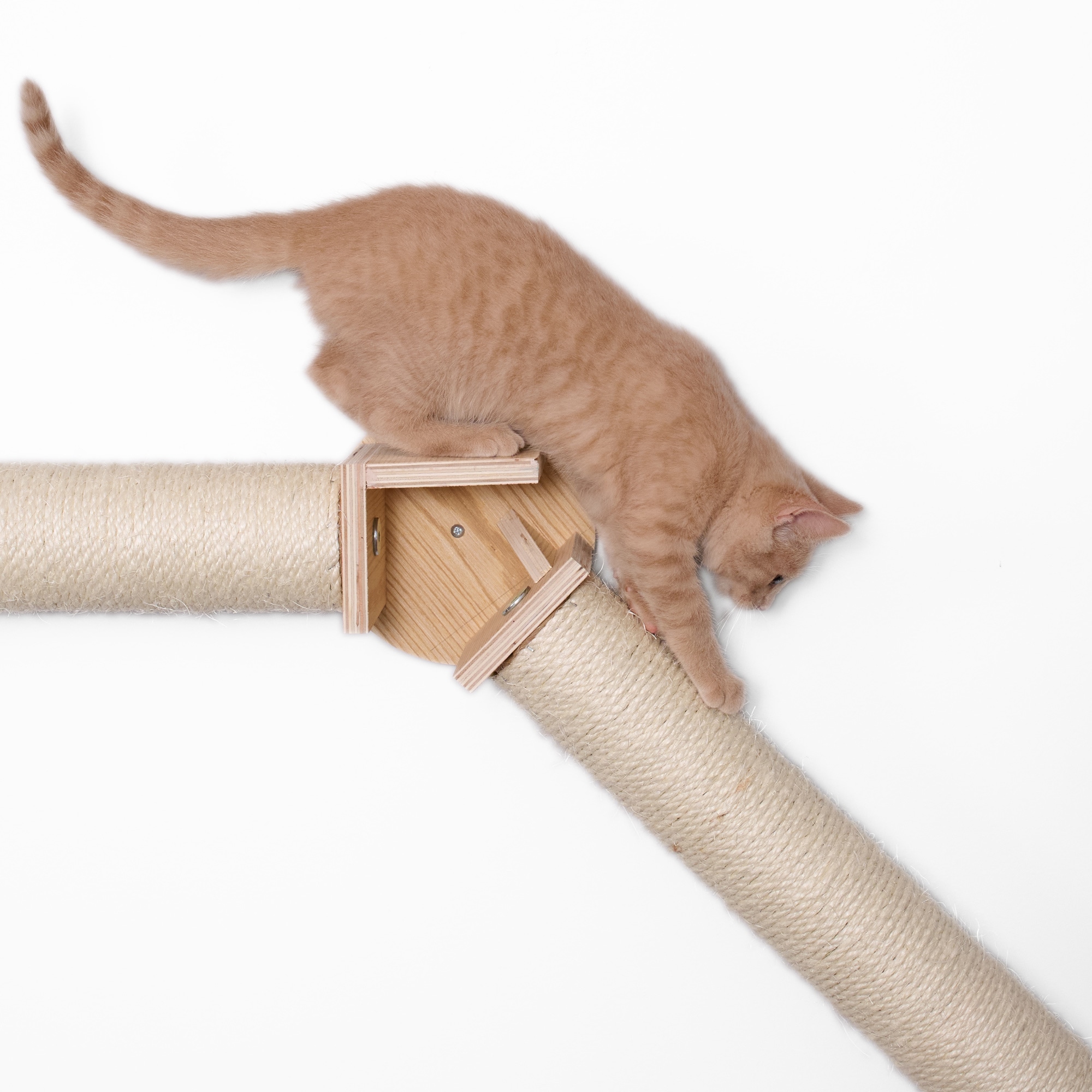 Armarkat W2307 Cat-Trees - View #10
