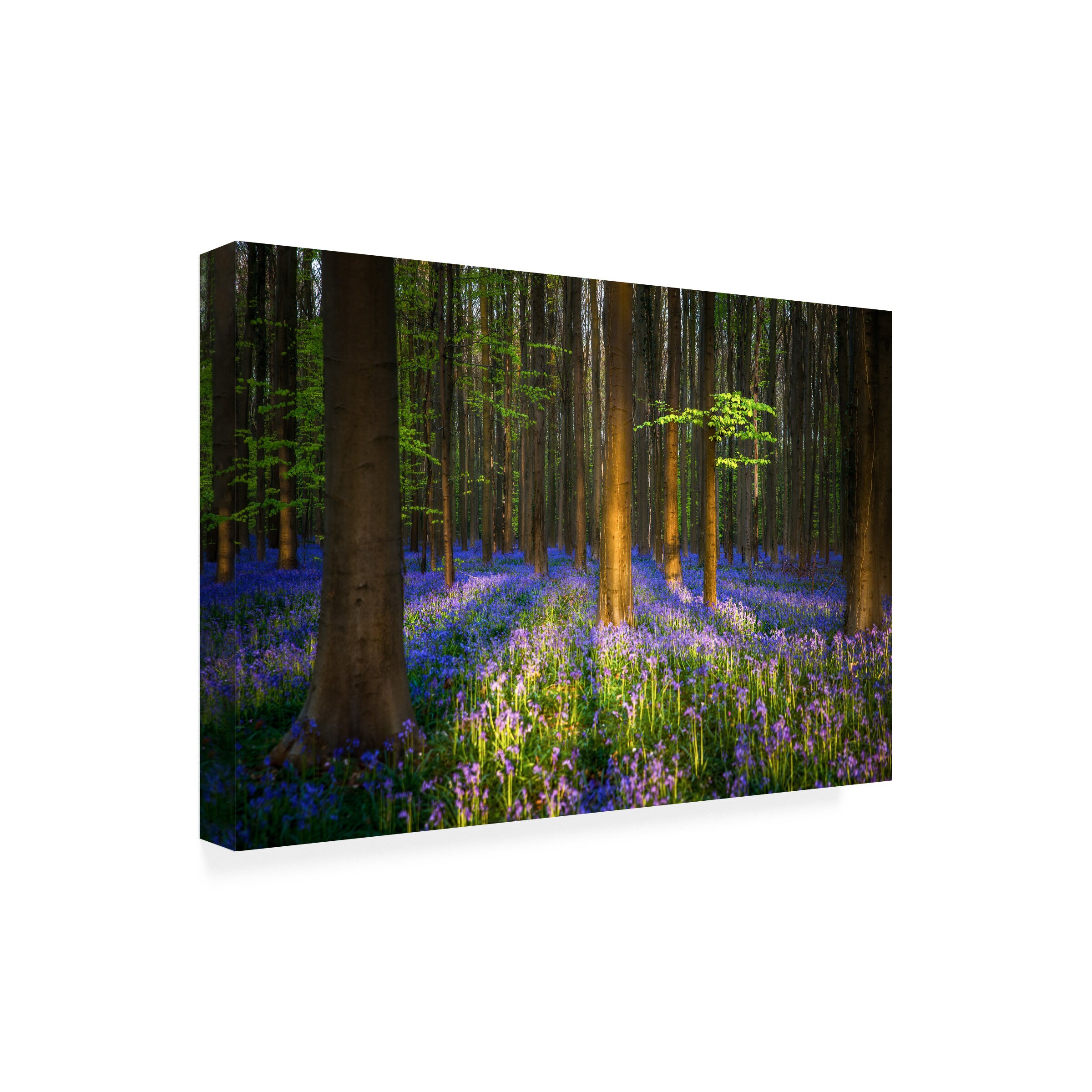 Trademark Fine Art RV0021-C1624GG Wall-Art - View #3