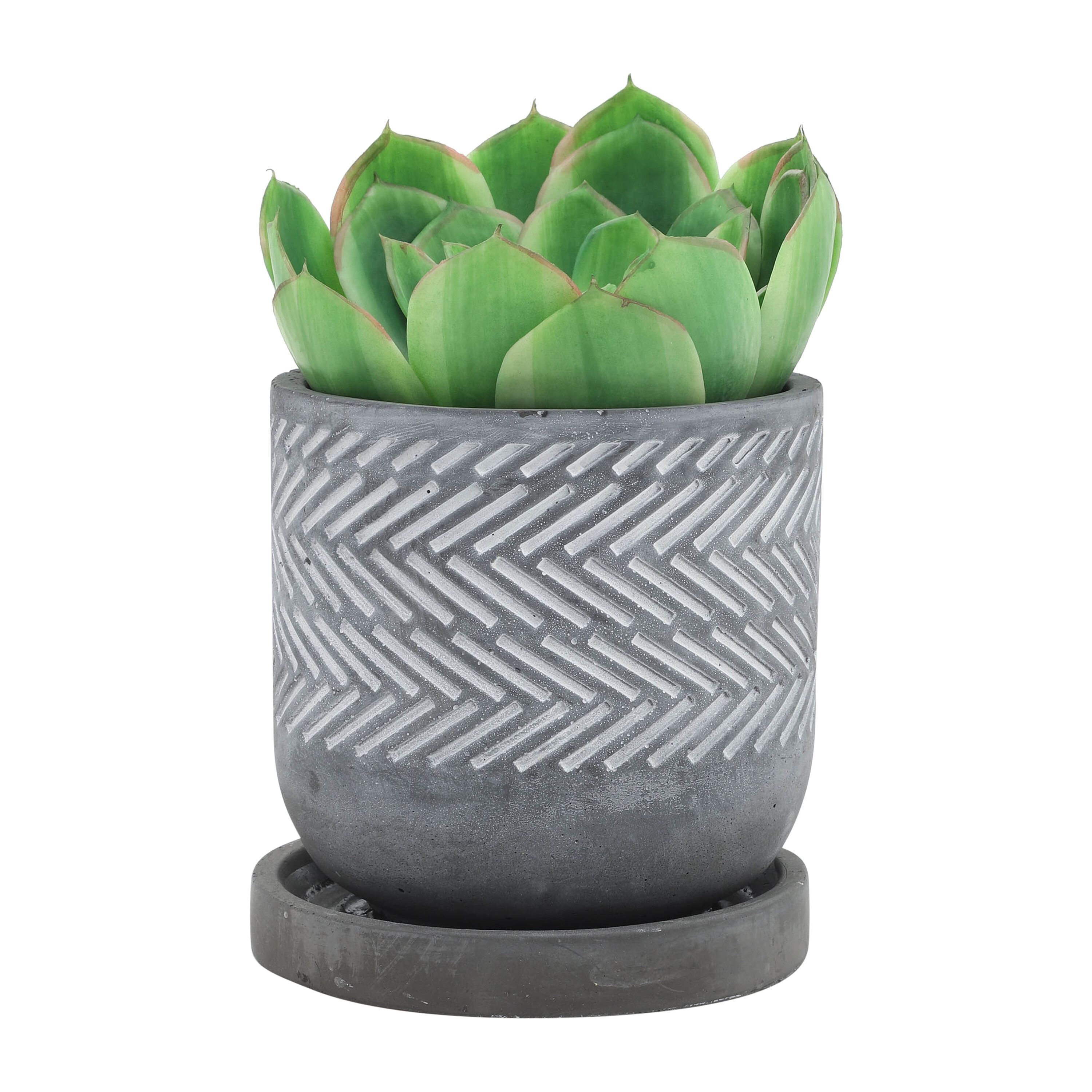 Sagebrook Home 14773-07 Planter-Window-Box - View #3