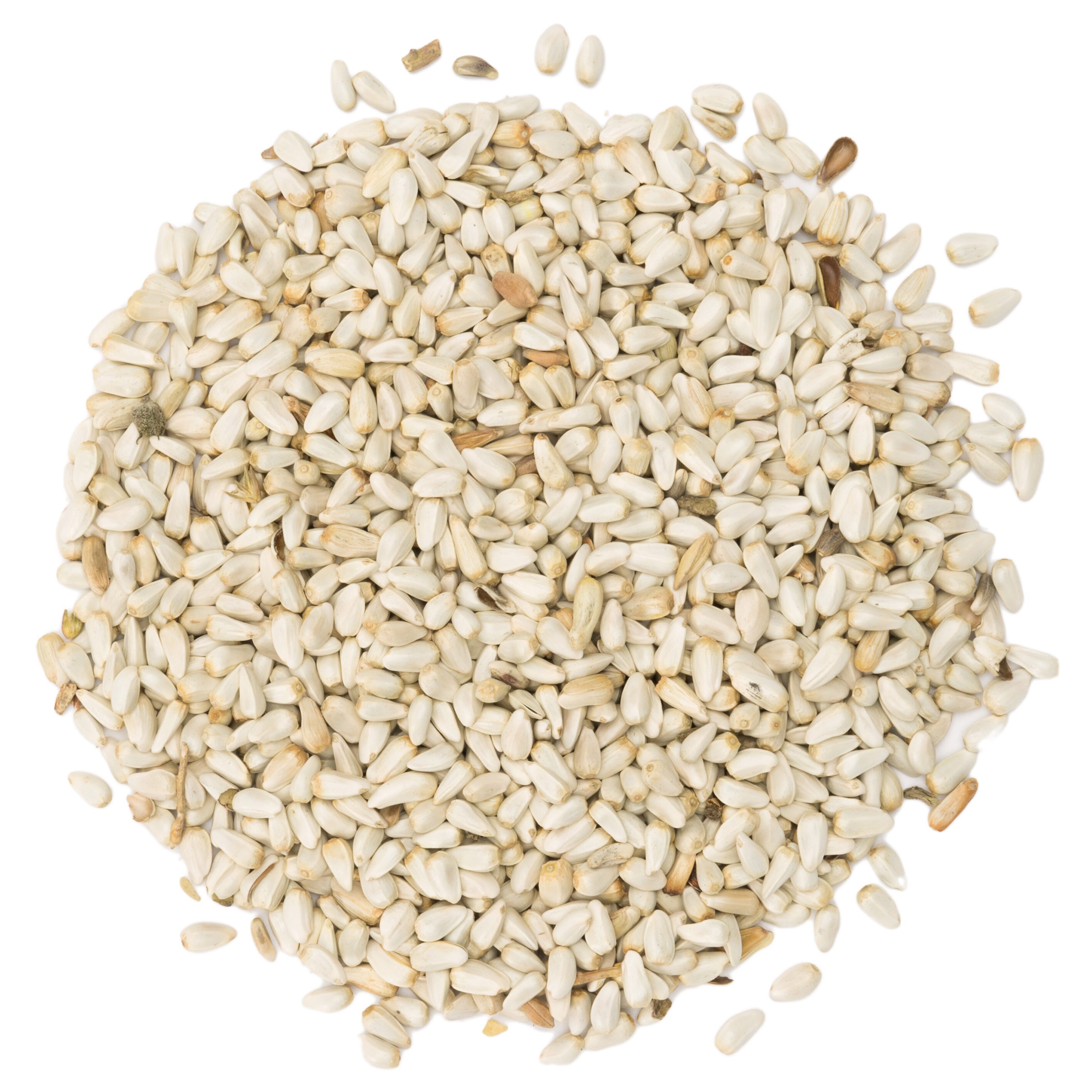 lowe's safflower seed