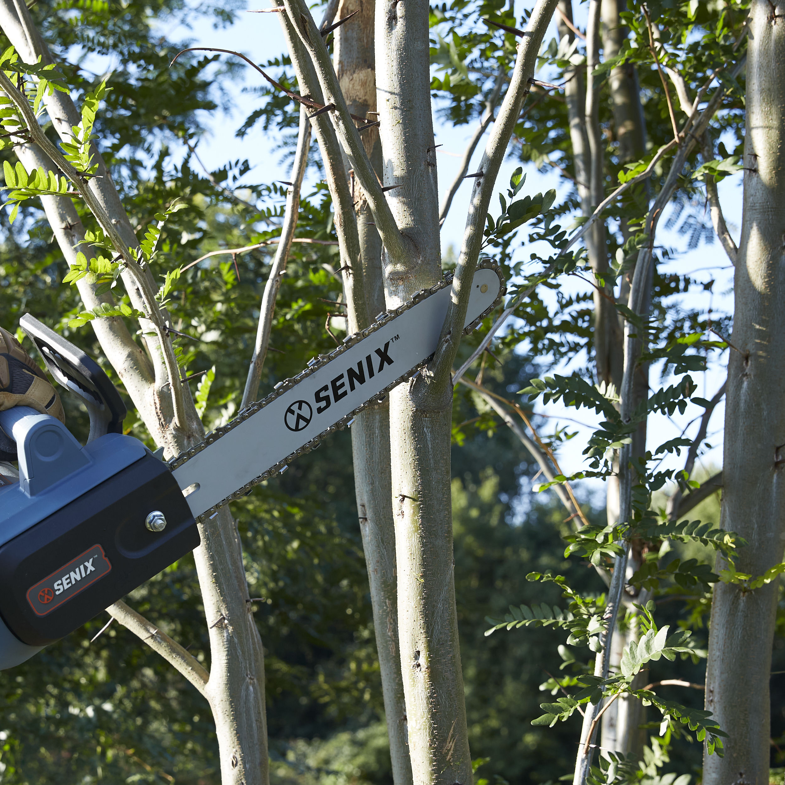 SENIX CSE10-L Cordless-Chainsaw - View #3