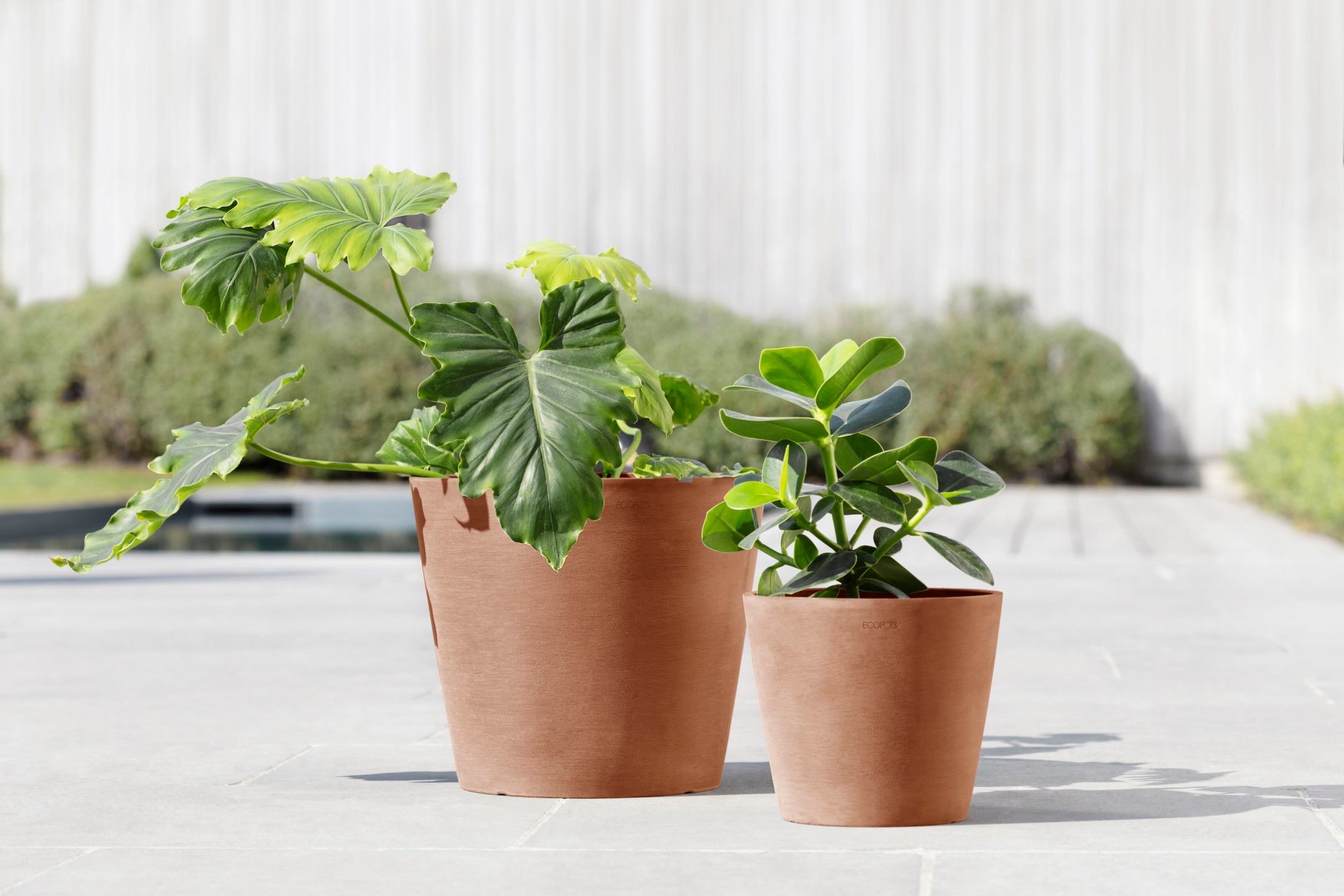 ECOPOTS 5413724317852 Planter-Window-Box - View #4