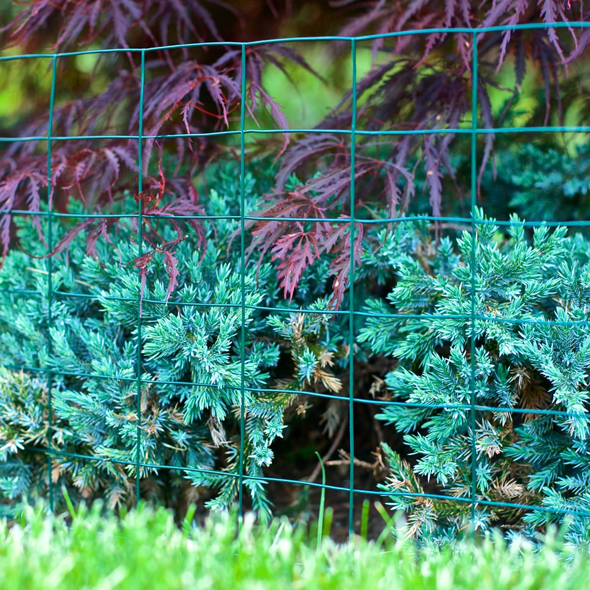GARDEN CRAFT 351425S Garden-Utility-Fencing - View #4