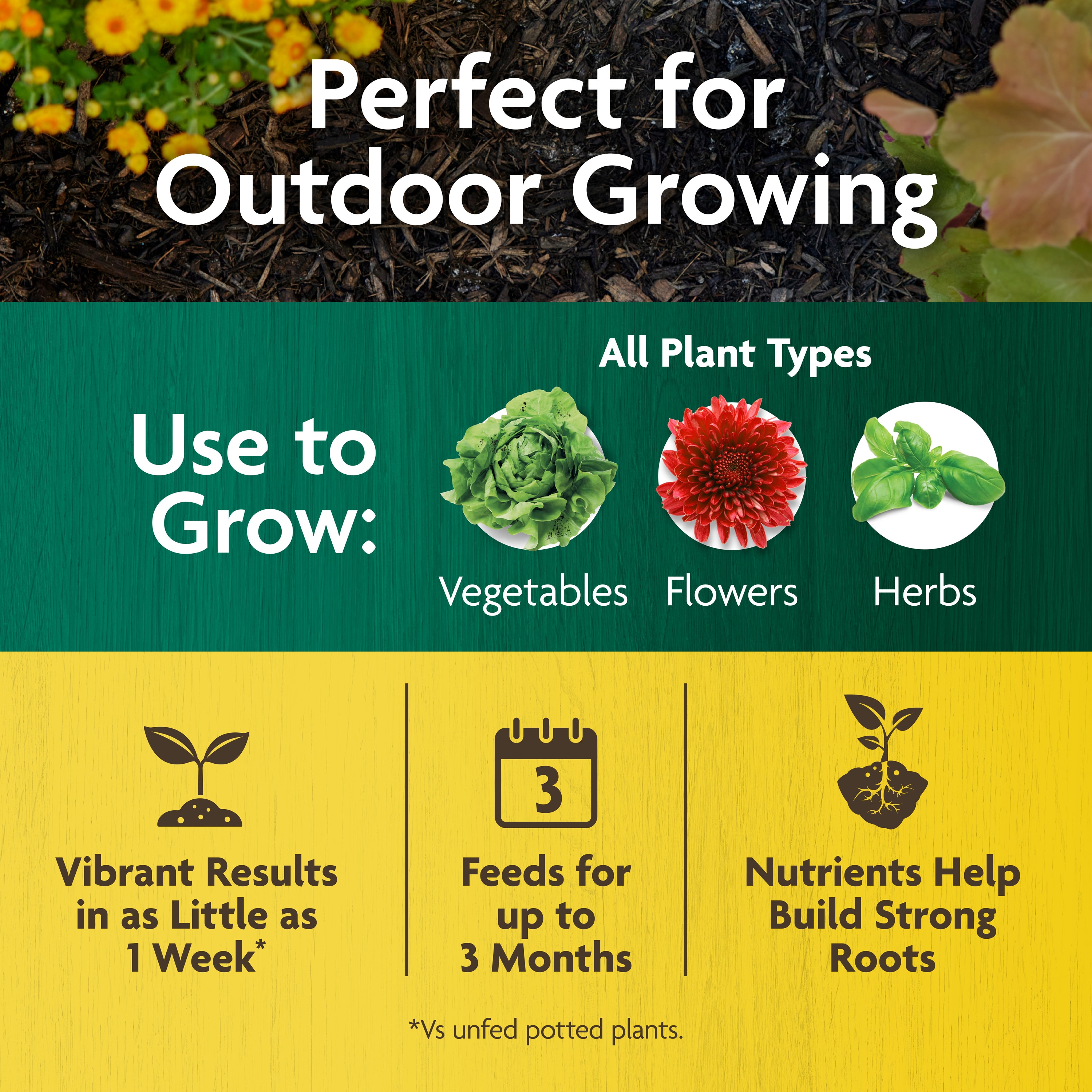 Miracle-Gro 3035906 Plant-Food - View #2