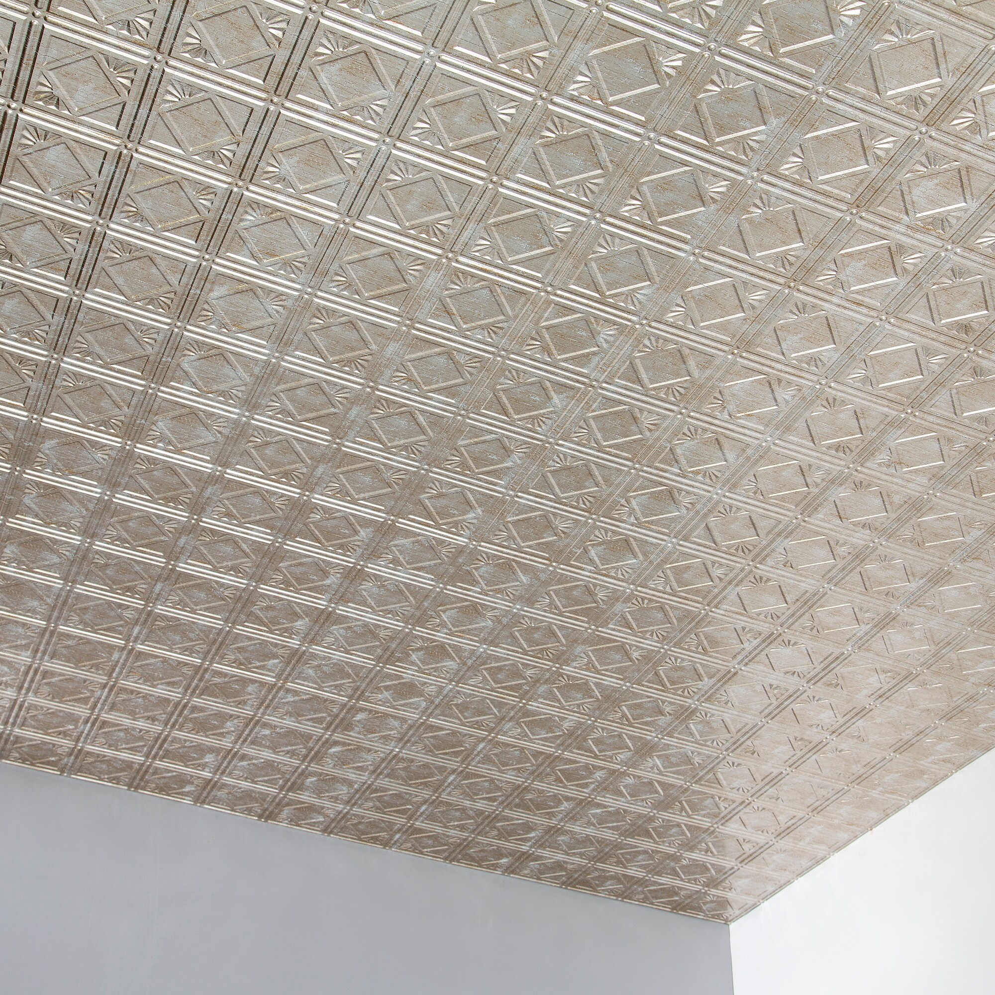 Fasade PG5334 Ceiling-Tile - View #3